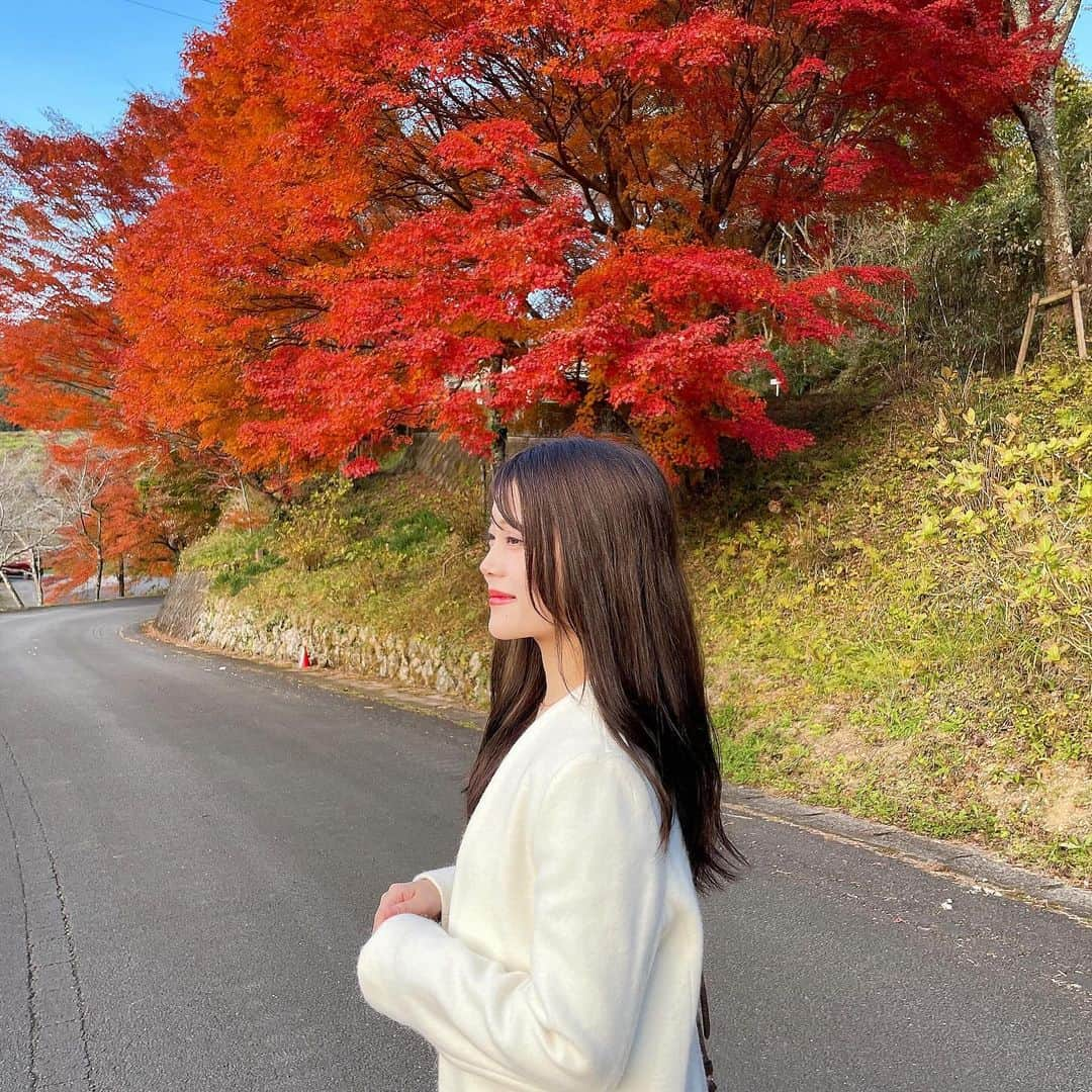 山田あかりさんのインスタグラム写真 - (山田あかりInstagram)「#こけむしろ　は空気が美味しくて紅葉が綺麗だったよ☺️🍁  景色ってなんでこんなにも人の心を動かすのかな🍁  男女ともに私が一緒にいたいのは景色を一緒に楽しめる人🥰 景色と時間を大切にできる人がすき🥰  #苔筵　#紅葉スポット #紅葉 #紅葉デート #こけむしろカフェ #愛媛グルメ #愛媛カフェ #愛媛旅行 #愛媛観光 #四国旅行 #153cmコーデ #日本の景色　#湿気で髪の毛死亡」12月5日 20時08分 - akari030201