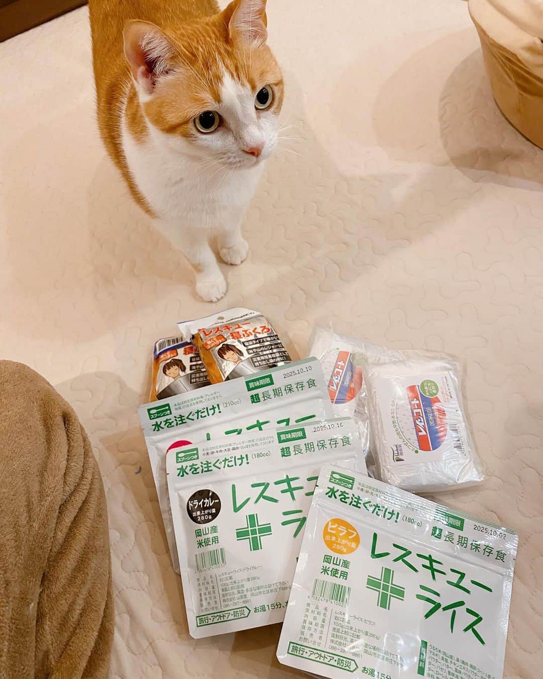 はなぼくろきなこさんのインスタグラム写真 - (はなぼくろきなこInstagram)「防災用品の期限チェック！  乾電池と野菜ジュースとクッキーの期限が切れていました🔋🥦🍪  断水した時や電気が止まった時でも少しは生活できるよう…人間用と猫用の防災グッズの準備は大事です✊  #防災用品の見直し  #えいようかん」12月5日 20時17分 - hanabokurokinako