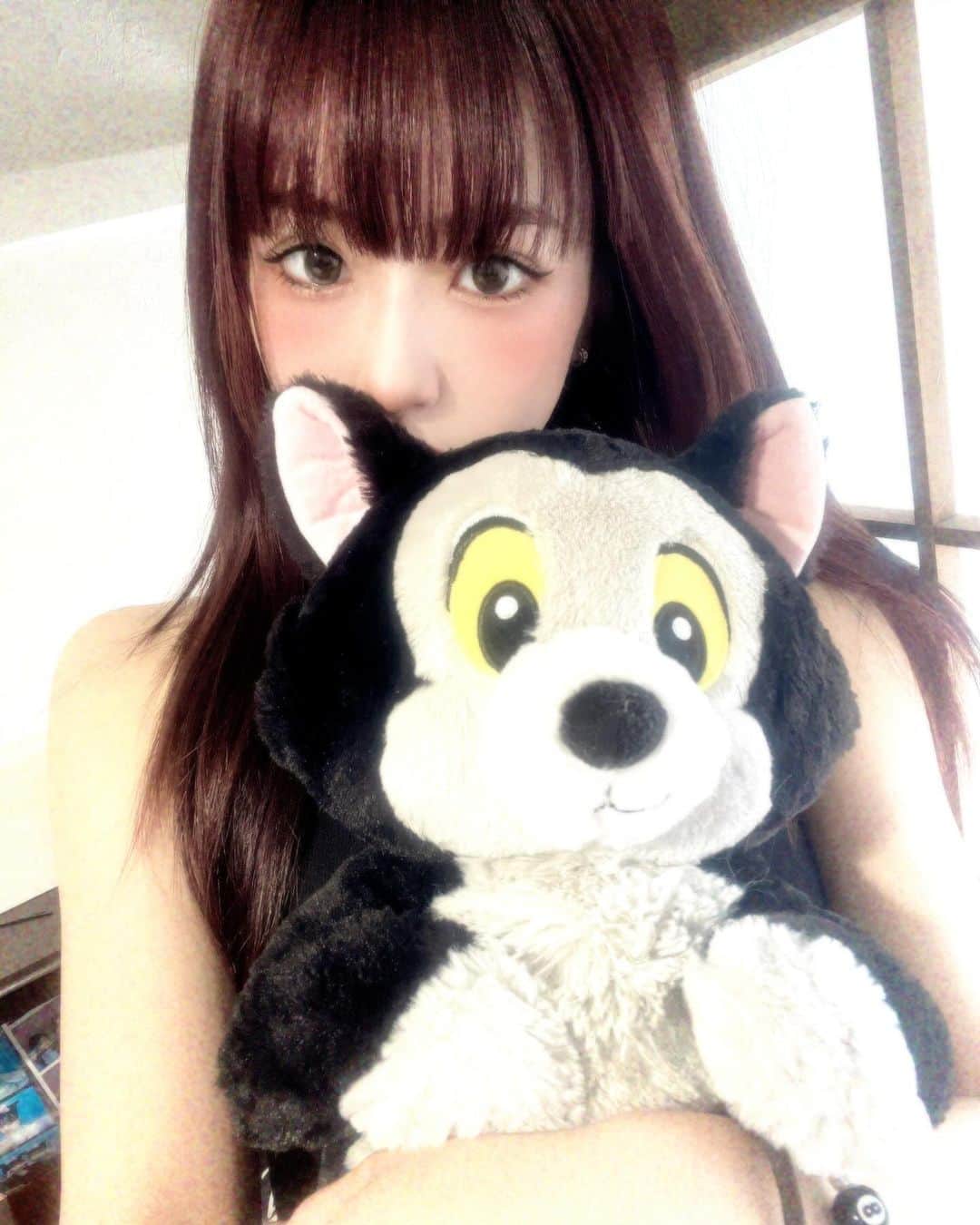 沖楓花のインスタグラム：「フィガロ ねこちゃん( ΦωΦ )」