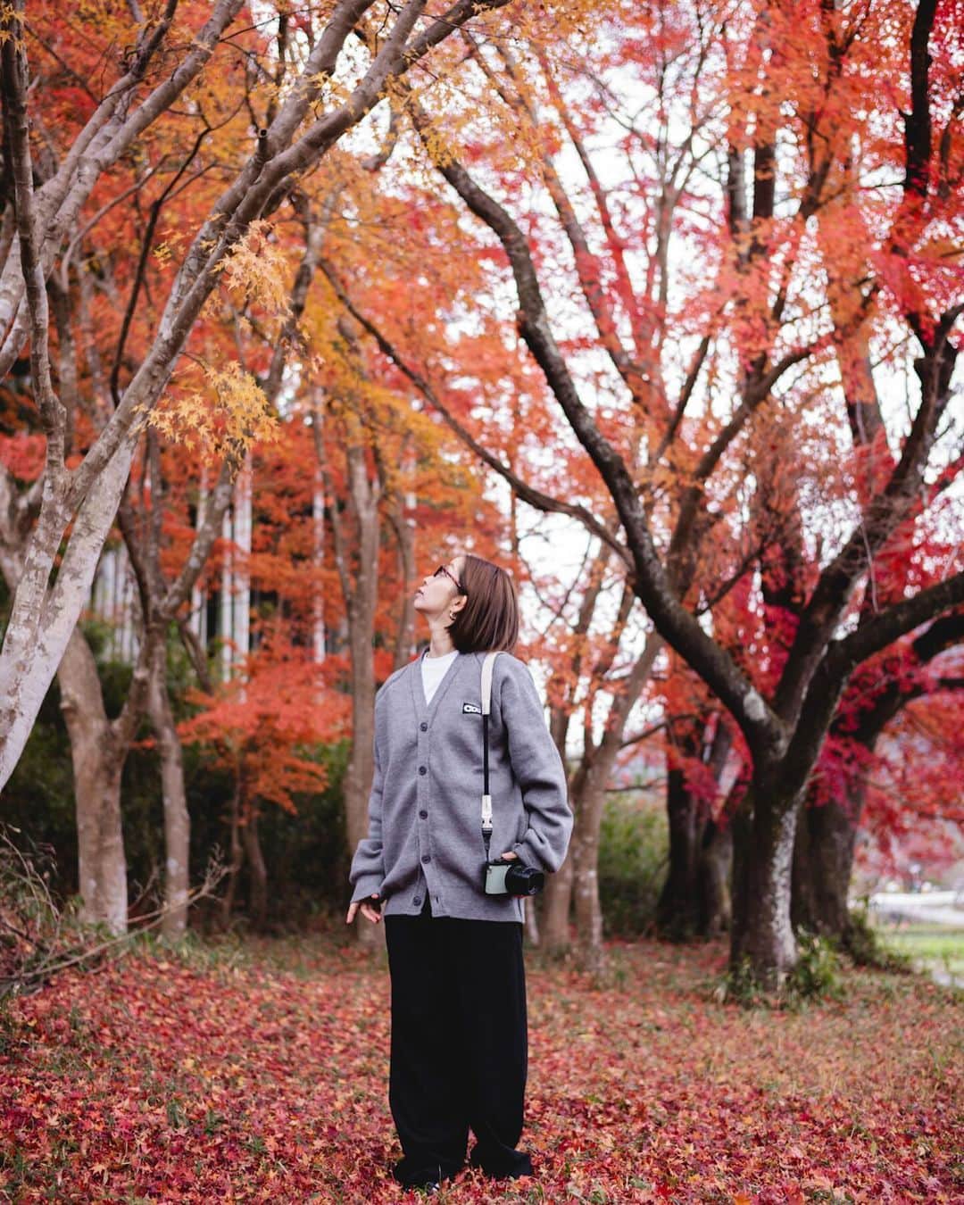 大瀧彩乃のインスタグラム：「・ あっという間に12月。 忙しいけどそれが楽しい一年の最後の月は毎年ワクワクしてる☺️  今年は昼間に紅葉を観に行けて良かったーー🍁 こんな景色なかなか見れない嬉しさから落ち葉を集めては投げて散らして遊んでいたら、葉っぱに付いてたイモムシみたいなのが服に付着していたり落ち葉に隠れていたであろう💩を久々に踏んだり👣 この綺麗な紅葉の中には色々隠れていました。  #takiicotrip #東京京都生活 #紅葉狩り #leicaq2 #leiqam11」