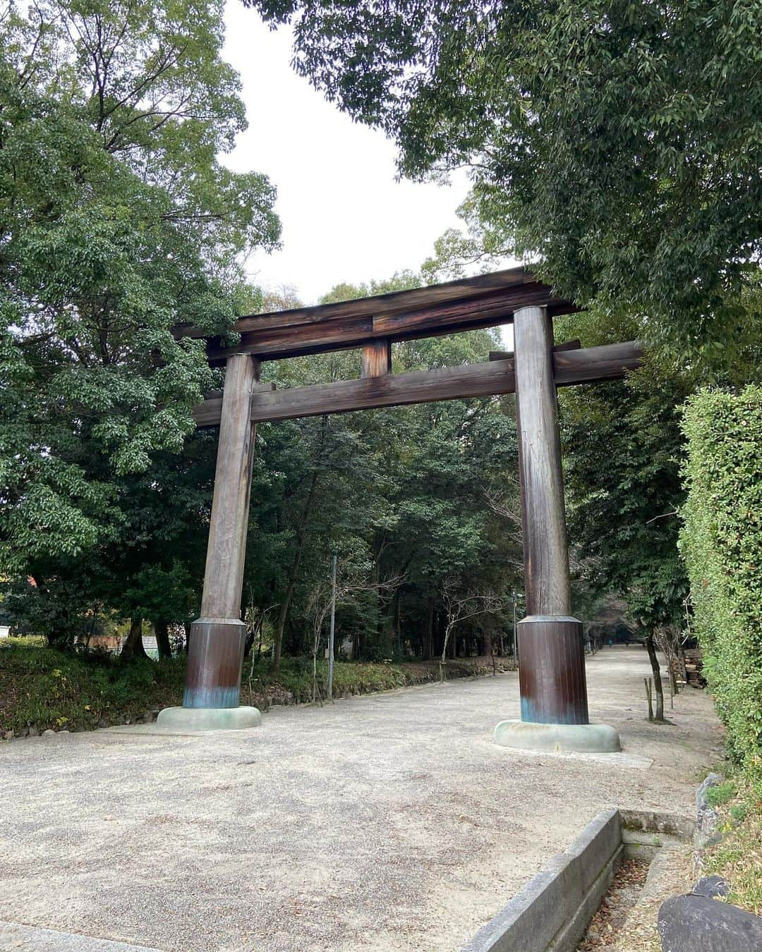 ヒロ寺平さんのインスタグラム写真 - (ヒロ寺平Instagram)「Sightseeing  売るほど時間のある平日。 ほどほどの距離にある未踏の地で「紅葉」を愛でるのも一興。 中距離ドライブを楽しむことにし目的地を「比叡山延暦寺」に設定。  ナビによると自宅から約80km、1時間半と抜群の距離感。 ご機嫌に京都東インターで降りナビの指示通りに進むと比叡山ドライブウェイの入り口に。  ゲートにあった料金表を凝視。 すると、そこから延暦寺までの往復が1700円とある。 名神豊中から京都東までの片道1,680円と20円しか変わらない。 しかしこの「対距離価格設定」が個人的には「法外に高い」と思えた。  「地道で行く方法がありませんか？」と案内所のおじちゃんに聞く。 すると、柔和な顔で「これしかありません。」との返事が返ってきた。  そこでコストコンシャスな寺平は「延暦寺行きはMUSTなのか？」と自問自答。 即刻「否」の結論を得、帰路に着こうとナビを見ると近くに「近江神宮」の表示が！  立ち寄ってみたら・・・  駐車場は無料、しかも人けは殆どない。 古社の趣き満載の神社で、してやったりの気持ちになった。  境内を散策し初冬を存分に楽しみコストコンシャスな寺平も大満足の一日になった。  #近江神宮 #比叡山延暦寺 #ヒロ寺平 #ヒロT」12月5日 20時33分 - hiroteradaira