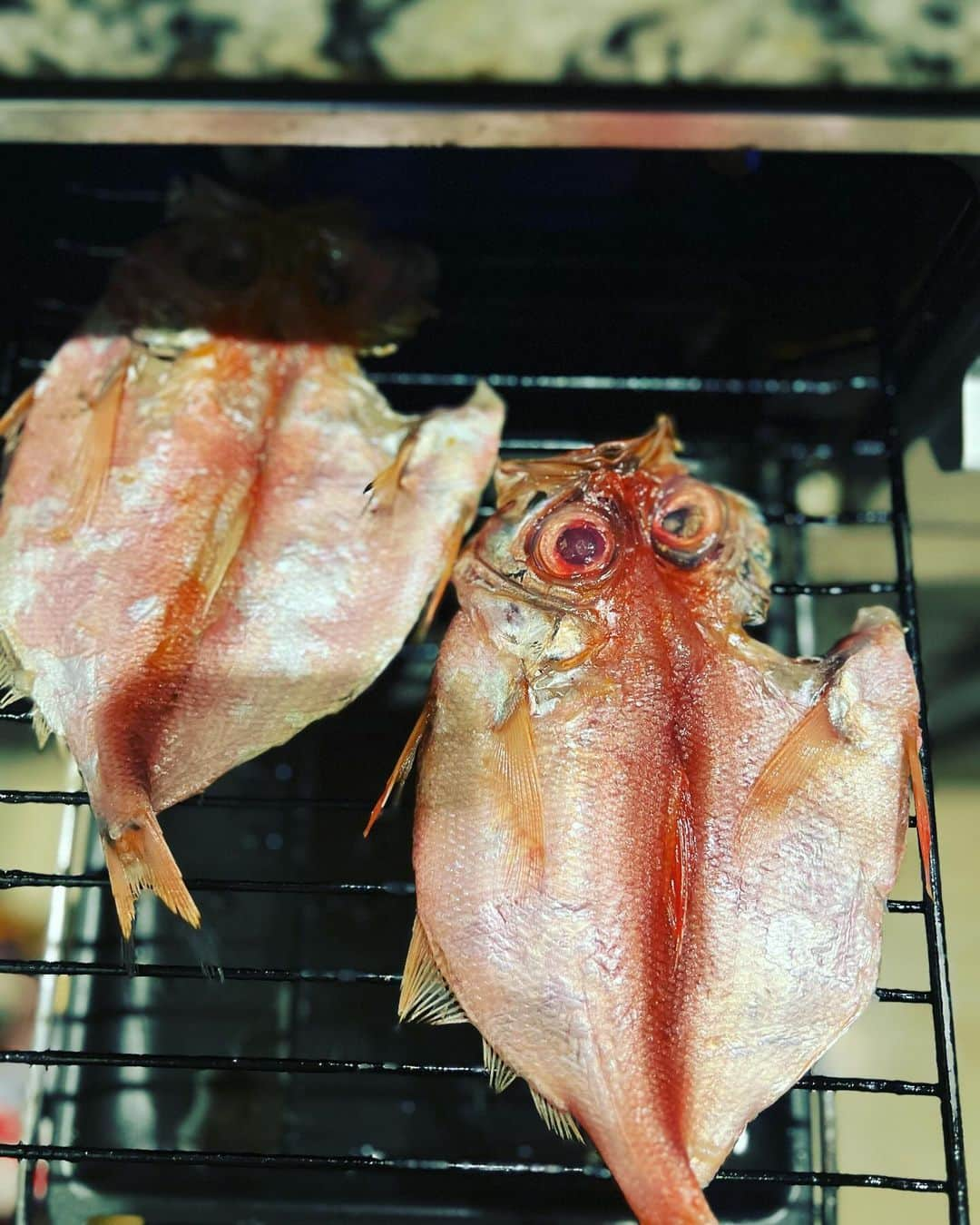 萩野志保子さんのインスタグラム写真 - (萩野志保子Instagram)「魚づいている。#息子 カレイの西京焼き。 西京焼きって、思えば収録弁当で再燃した好物だったにゃあ🐟🐈‍⬛ ふっくらお味噌のコク、息子が西京焼きを好きになったのは嬉しいこと。 朝ごはんはスーパーでお得だったからのキンメの開き。 どなたが何と仰ろうと、開きのときも、皮目を上に焼きたいわたくしなのでするめ😎 #魚 #坊弁当 #息子弁当 #カレイ #西京焼き #ねっとり と #しゃくしゃくバランス #にしたくて #焼き蓮根 と  #鶏そぼろ も #ぴっかりん #嬉しい  #おとな も #こども も #今日も #1日 #お疲れ様でした   #アナウンサー #萩野志保子  #魚焼きグリル は #あつあつ #🔥 にしてから #オイル をハケなどで #塗ったあとに魚を置く #これでひっつきませぬ🐟 #て普通に常識でしたらすみません😹」12月5日 20時45分 - shihoko_hagino