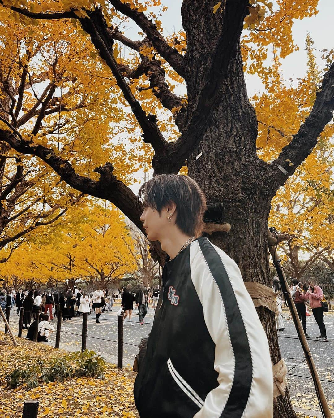 岡本聖哉さんのインスタグラム写真 - (岡本聖哉Instagram)「🎄⛄️🍂 @buddiis_channel」12月5日 20時48分 - okmtseiya_official