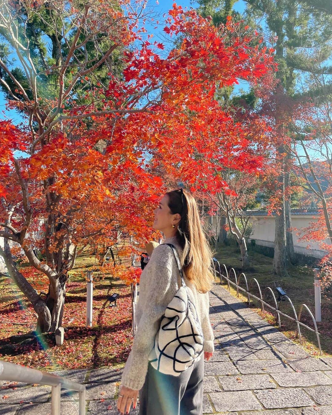 misatoのインスタグラム：「. 𝐴𝑢𝑡𝑢𝑚𝑛 𝑙𝑒𝑎𝑣𝑒𝑠🍂🍁🧶 ⁡ ⁡ 赤く染まった葉っぱは 太陽に透けてる時が一番綺麗✨ ⁡ 一枚目は 毎年見に行く新光明寺🍁 ⁡ ここに行く途中、静岡で初めて(というか人生で3回目)の チャウチャウちゃんに会えたのー🐶🧸 ⁡ はぁ♡可愛かった…🥹 もー可愛すぎて「かわいいいーーー♡」を連呼してたら 私に向かってトコトコとひとりで まっすぐ歩いて来てくれて🐶🫶💞 飼い主さんに写真お願いすればよかったなぁ♡ いきなりは不審者すぎるかなと思って頼めなかった💦 また会いたいなぁ…🧸💘 ⁡ ⁡ 話がかなりズレたけど(笑 ⁡ もうひとつの紅葉スポットは“大洞院”🍁 海外からの観光客も多かったこちらは 時間毎に鐘が鳴ったり THE 日本🇯🇵な風景が広がっていて やっぱり日本っていいよねぇ… と思わず呟いたくらい🗻  やっぱり四季を感じられる景色はいいものだ🍵🍁 ⁡」