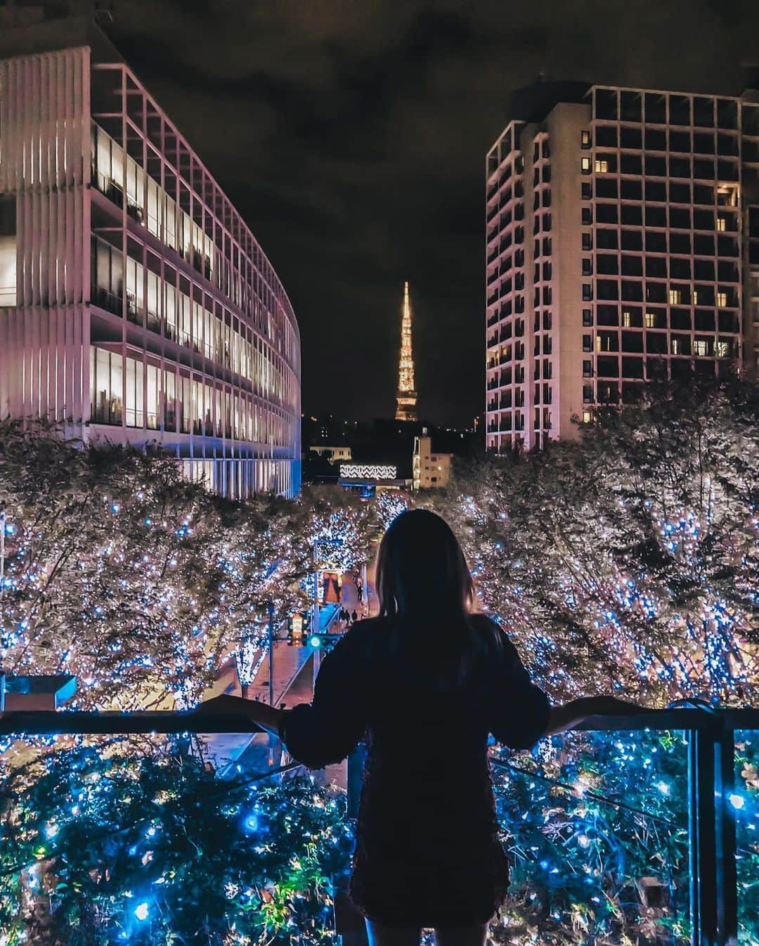 Stella Leeさんのインスタグラム写真 - (Stella LeeInstagram)「One of my favorite winter illuminations in Tokyo is Keyakizaka Roppongi where you can see a white-blue lights on the street with bright red Tokyo Tower from a far 🗼  The photos were taken on 3 different years, but it all has the same view. It’s always good to be visiting a place that never changes 🫶🏻」12月5日 20時59分 - stellalee92