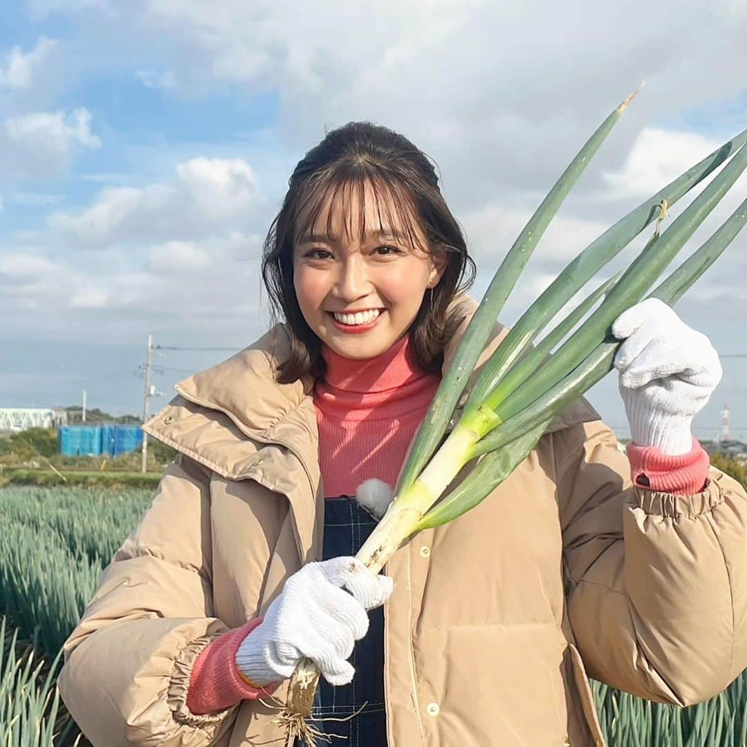 間瀬遥花さんのインスタグラム写真 - (間瀬遥花Instagram)「. 昨日のよじごじDays観ていただけましたか〜？👀 . 冬が旬の長ネギとレンコン農家さんにお邪魔して おいしく食べる冬野菜料理をたくさん教えてもらいました！ . 収穫体験させてもらいながら、それぞれのお人柄や野菜を作っている想いにたくさんふれて、 今まで以上に野菜に感謝しておいしく食べよう！と思う そんな楽しい美味しいロケでした👩🏼‍🌾 . 皆さんありがとうございました！ . . #よじごじdays #よじごじ #農家 #農家の台所 #農家飯 #農家メシ #冬野菜 #冬野菜レシピ #長ネギ #長ネギレシピ #長ネギ農家 #矢切ねぎ #矢切ネギ #れんこん #れんこんレシピ #れんこん農家 #レンコン #レンコンレシピ #蓮根 #蓮根レシピ #収穫 #収穫体験」12月5日 21時09分 - maseharu_929