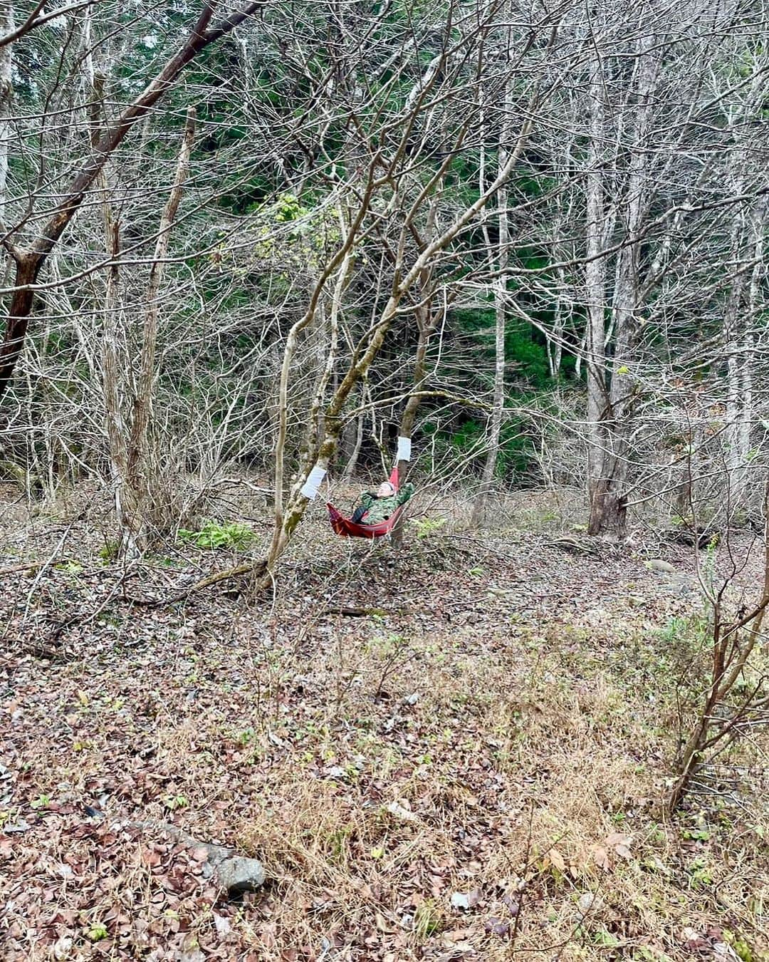 小野寺耕平のインスタグラム