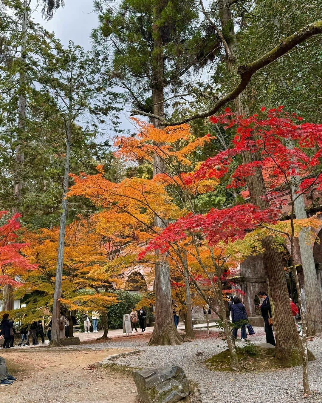 Manaさんのインスタグラム写真 - (ManaInstagram)「⛩️𝑲𝒀𝑶𝑻𝑶 ❤︎🍂 紅葉で有名な南禅寺へ行ってきました☺️ ⁡ ⁡ どこを切り取っても美しい絵画のような紅葉🍁 ⁡ 毎年、必ず訪れたくなる秋の京都 また今年もいっぱい秋の京都を楽しめました💕 ⁡ ⁡ ⁡ 2枚目、はしゃぎすぎちゃったな〜🙊 ⁡ ⁡ ⁡ ⁡ #京都の思い出 #そうだ京都行こう #京都 #京都旅行 #京都の風景 #紅葉の季節 #南禅寺 #南禅寺水路閣 #水路閣 #大人コーデ #秋コーデ #冬コーデ #オレンジコーデ #ニットコーデ #タートルネックニット #紅葉2023 #紅葉狩り #紅葉スポット #紅葉シーズン #红叶 #단풍 #kyotojapan #nanzenji」12月5日 21時27分 - mana.tcy