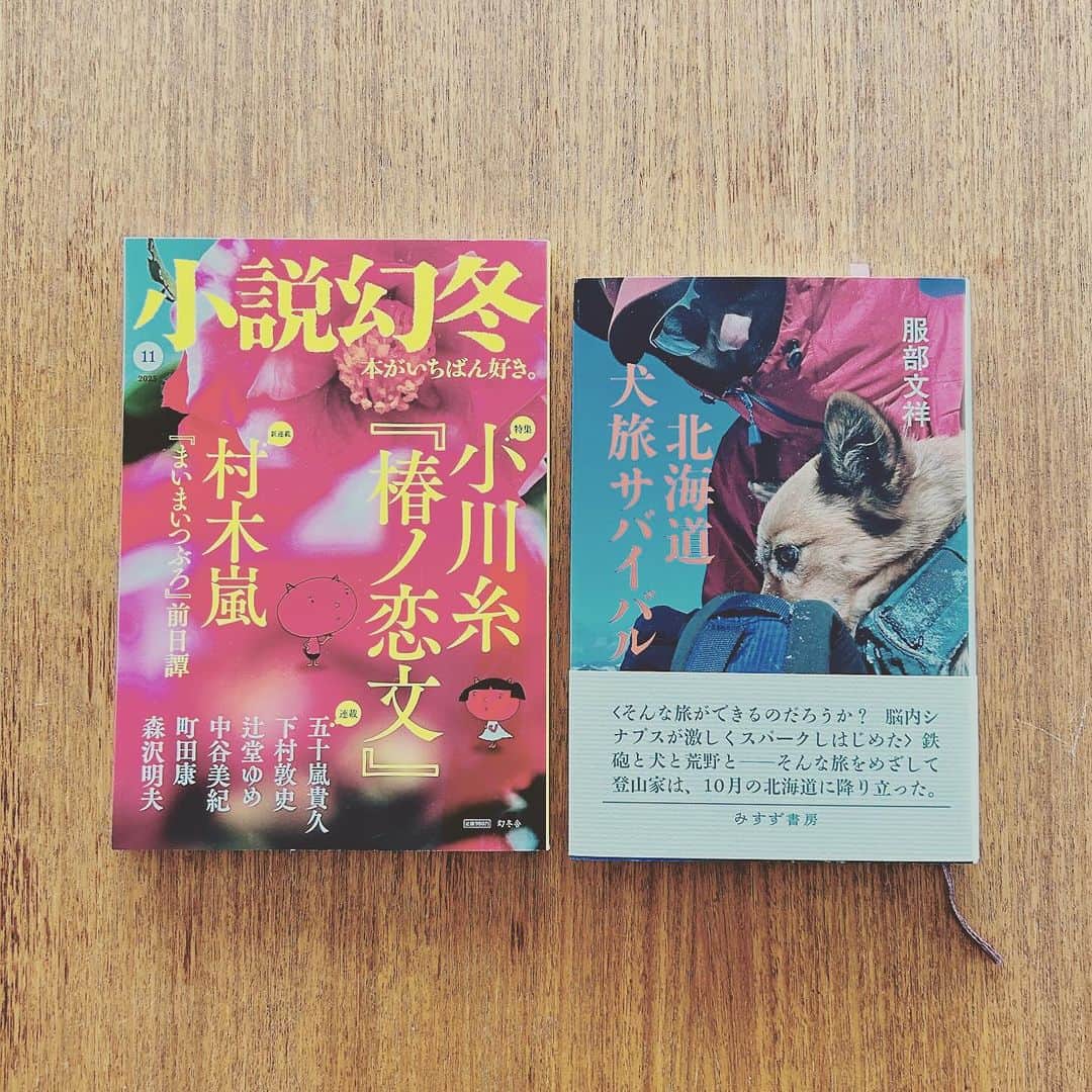 KIKIのインスタグラム：「小説幻冬11月号 お知らせしそびれていましたが 先月の連載「本の山」では 服部文祥著『北海道犬旅サバイバル』について書いています 服部さんのするような旅を憧れはしつつも 同じようにすることは わたしにはできない けれど とてもいい刺激を受けた  じぶんがしたいこと それをするために なにをすればいいか 日々忙しくはあるけれど どこか頭のなかはぼんやりとしていて 考えることを遠くに追いやっていた そんなことにも気付かされた  小説幻冬 ぜひお手にとってご覧ください！ #小説幻冬 #本の山 #キキ図書館 #服部文祥 #北海道犬旅サバイバル」