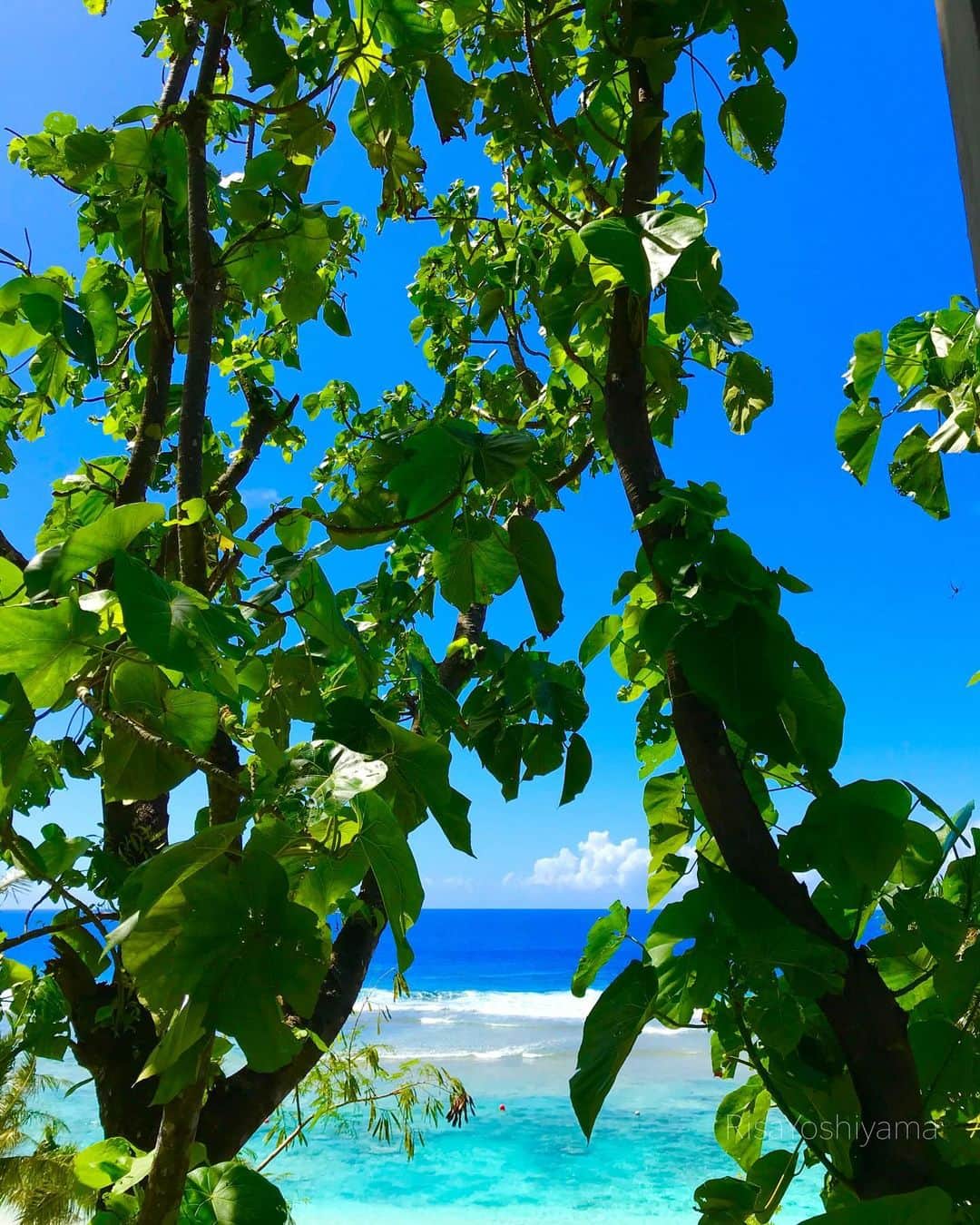 吉山りささんのインスタグラム写真 - (吉山りさInstagram)「🐬🏝🌺🌴🍹🐠 美しすぎて しばらく 動けなかった🩷   #oceanview #海 #sea  #ocean #beach #🏖️ #bluesky  #resort  #sup  #空  #sky   海を愛してる💕」12月5日 21時57分 - oreorerisa