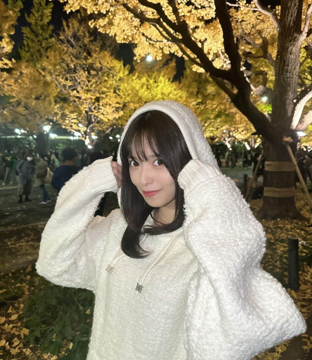 新井椎夏さんのインスタグラム写真 - (新井椎夏Instagram)「いちょう🟡」12月5日 21時55分 - elsy_shiina