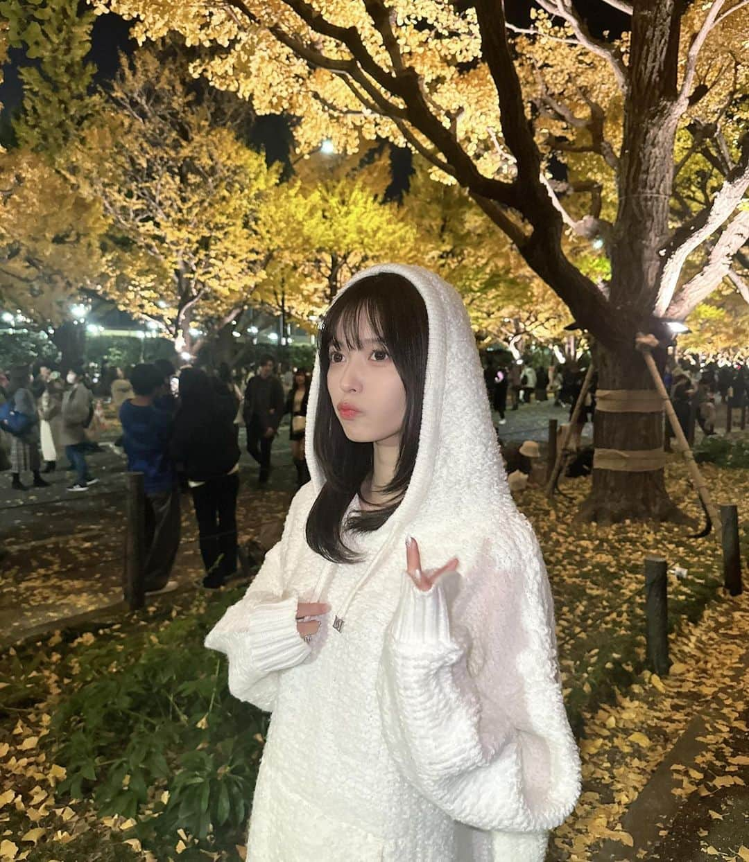 新井椎夏さんのインスタグラム写真 - (新井椎夏Instagram)「いちょう🟡」12月5日 21時55分 - elsy_shiina