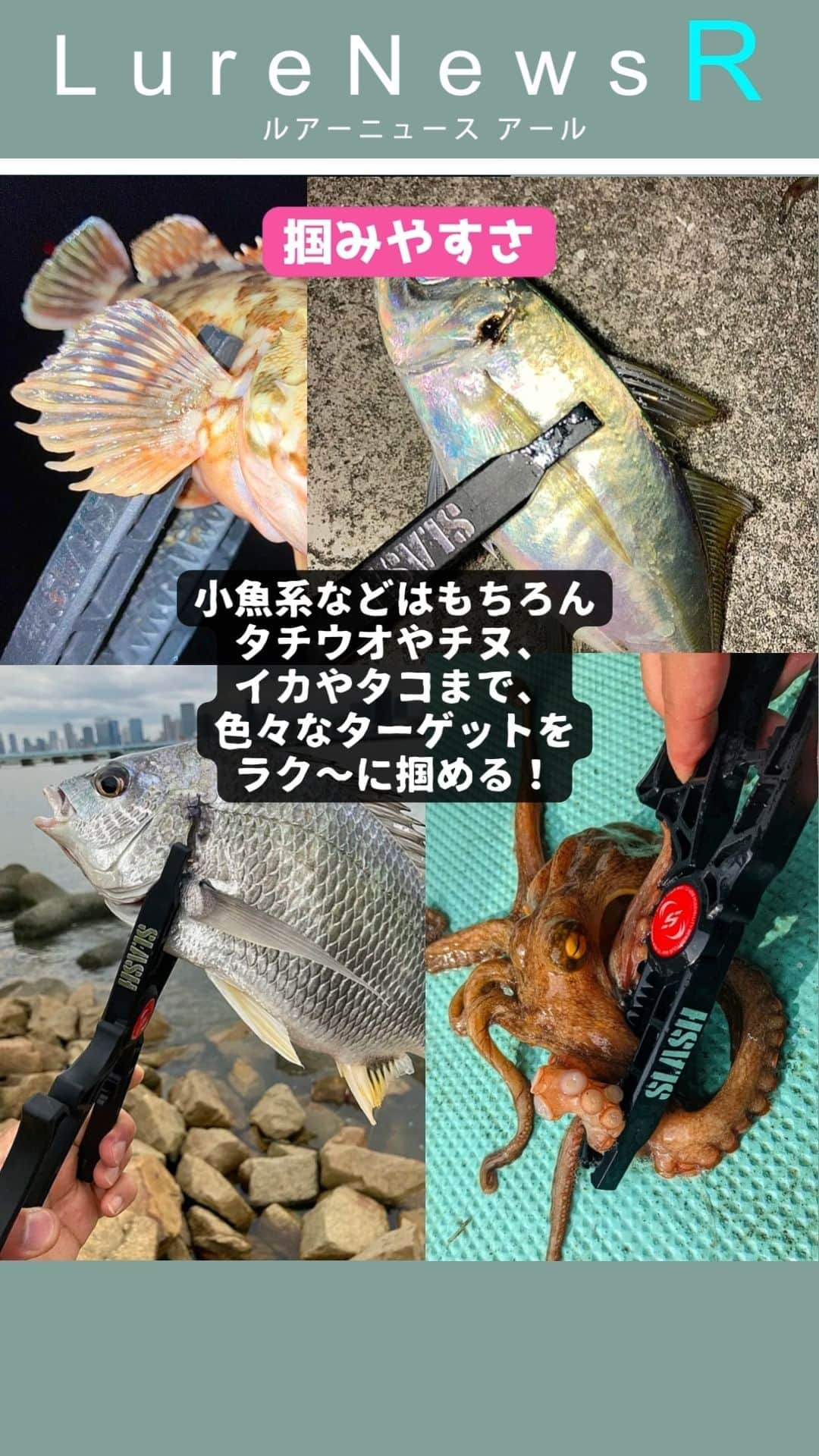 LureNews.TVのインスタグラム：「【魚掴みの優等生】使いやすさ、コスパ、全てが納得の魚掴み「バーサルグリップ」！  #フィッシュグリップ #SLASH #バーサルグリップ #アジング #メバリング #魚つかみ #便利グッズ   詳しくは下記URLをチェック  https://www.lurenewsr.com/275173/」