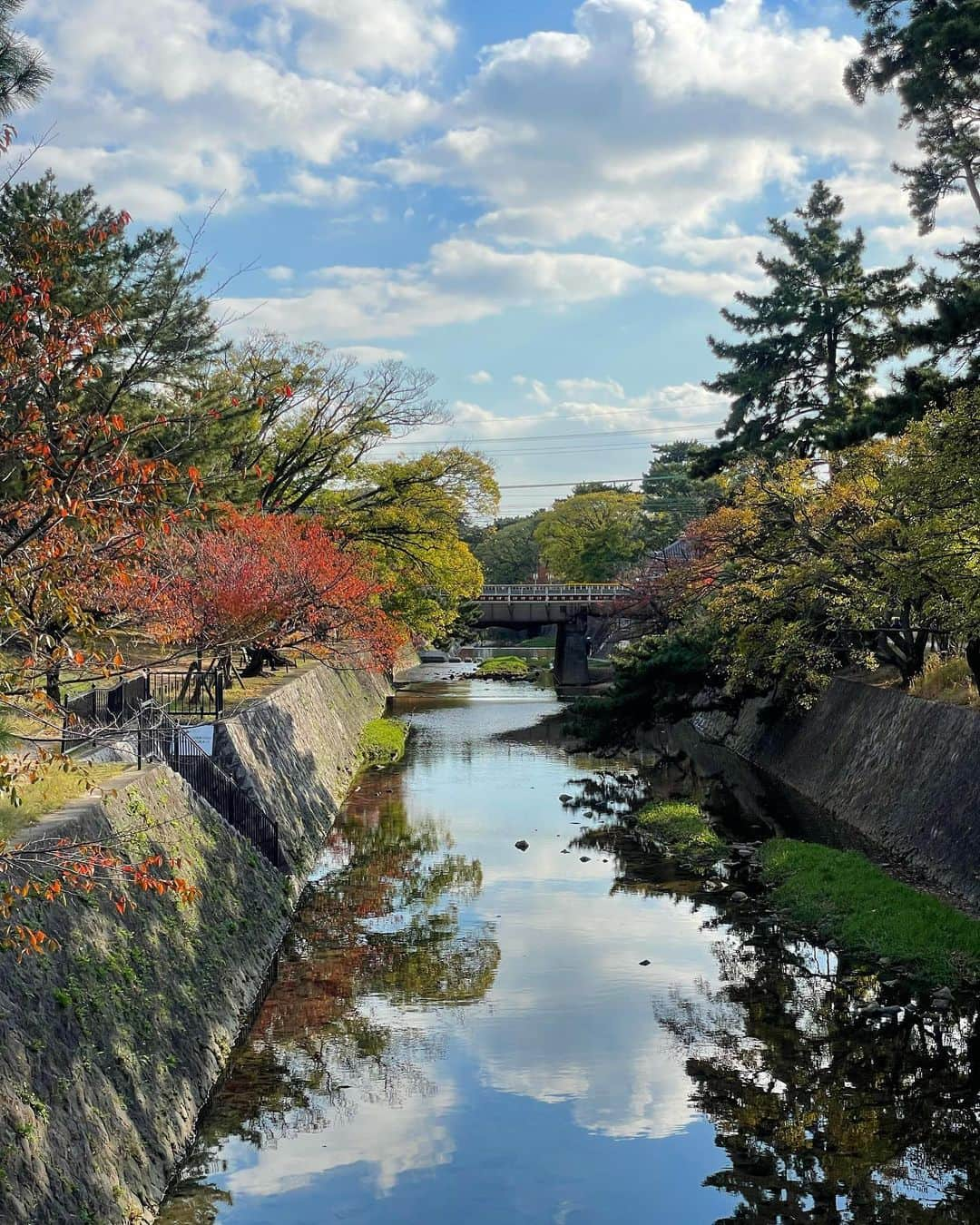 ウラリエさんのインスタグラム写真 - (ウラリエInstagram)「先月は、芦屋に続き夙川にて ウラリエと行くレトロ＆モダニズムウォーク ご参加＆ご応募ありがとうございました🙏 @hanshinkan_modernism 🚩 . 応募してくれる方おらんかったらどうしよー🫣 友達に来てもらわなあかんの ちゃうか❓とドキドキしていました ☜本気 . 夙川コースも 🏫武庫川女子大学の👤 #三宅正弘 先生に建築や、川や橋の事 🌉 スイーツのお話をしていただきながら 楽しく学びウォーキングさせてもらいました👣 この日もお天気に恵まれて🌞 めっちゃ気持ちよかったなーーー♡ . もうね、スタートの #香櫨園 駅から レトロなデザインでわくわくしたーーー🚃 ホームにあるテラス気になるなあ👀💡 . 夙川コースは、何本の橋て渡ったかな❓ 橋の表示は、ひらがなの2種類あって 入口には漢字・出口にはひらがなやねんて💡 三宅先生が教えてくれました👨🏻‍🦱 ↑これ私を含め、みなさんめっちゃ興味深かった☝️ ̖́. #カトリック夙川教会 💒は、外観から うわぁって声が出てしまうほど素敵✨ . 天井が高く、ステンドグラスが美しい 大聖堂は許可をいただき 撮影させていただきました🤳 . 立ち寄ったスイーツのお店は、夙川駅近の🚇 老舗洋菓子店 #エルベラン  ↪︎ @elberun1964_shukugawa 📍 人気のレモンパイ🍋を みなさんで撮影してみたり✨ . お土産は、人気の #エルベランクッキー 🍪 これこれ！サクサク食感で 何個でも食べれてまう、美味しいやつ💟 手土産にもオススメ➿🛍 . お店のロゴにも、夙川らしい桜のお花が デザインされてて可愛かったー🌸 . 芦屋＆夙川のモダニズムウォーク👣 素敵な企画を、ありがとうございました🙏🙏🙏 . #西宮市#西宮#夙川#shukugawa#阪神間モダニズム #モダニズム建築#夙川スイーツ#西宮スイーツ #エルベラン#elberun#香櫨園#香櫨園駅」12月5日 22時09分 - urarie83