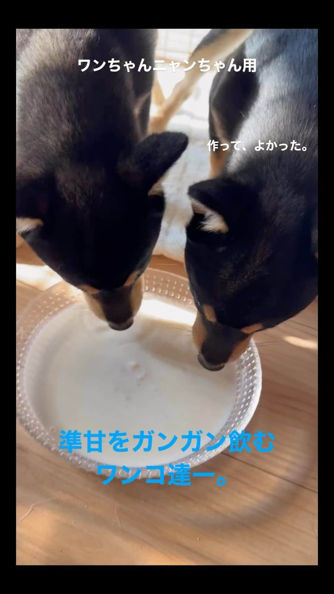 河本準一のインスタグラム