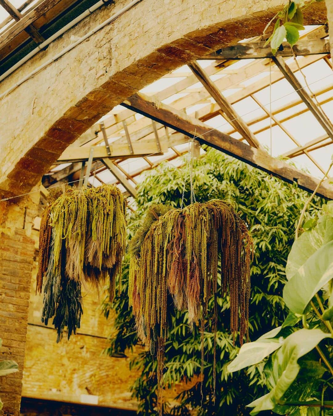 Vogue Españaさんのインスタグラム写真 - (Vogue EspañaInstagram)「Interiorismo y arte conviven en el inabarcable universo botánico de @flowersbybornay, el taller floral de Barcelona que ha transformado el mundo de la decoración vegetal. Nos adentramos en su paraíso botánico en #VogueDiciembre. {Puedes leer la entrevista completa en el link de la bio} ▪️Fotografía: @silvia.retana ▪️Estilismo: @patricia.lopezp ▪️Texto: @garbicong  ▪️Maquillaje y peluquería: @rebecca.martin.mua ▪️Ayudante de estilismo: @carmencruzp」12月8日 1時30分 - voguespain