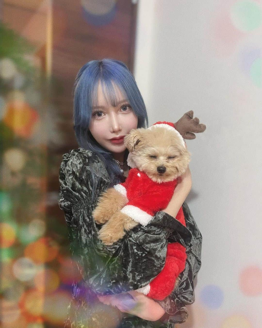 Aiceさんのインスタグラム写真 - (AiceInstagram)「꙳ ❅⋆‪ 𖡺𐂂𖡺❅ ·˖*  ドレスコードは“クリスマス”でらぶちゃんずと一足早めのX'mas party 🍲🎅🏻 with @dear_pino_1016 ❤︎ 鍋の仕込みやテーブルの飾り付けまでちゃんとこだわってやるその心意気が大好き！何事もイベントに全力な人しか周りにいないって幸せだなぁと改めて思った   わたしは緑をメインにポイントでゴールドや赤、茶色のアイテムを身につけてツリー意識 🎄（笑） ５枚目動画載せたつもりなのに再生されないの悲しい…… 愛が溢れる３人と天使と楽しい時間を過ごした記録 ♡  ┈  青シャンプーしたら想像以上にちゃんと染まった  ・ ・ ・  #xmasparty #xmascode #christmasmood  #クリスマスコーデ #クリスマス準備 #クリスマスごはん」12月5日 22時38分 - __february4__