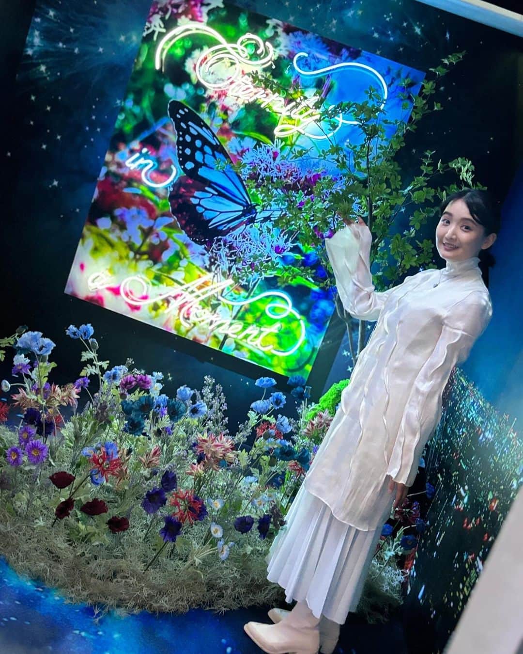 白石小百合のインスタグラム：「🦋」