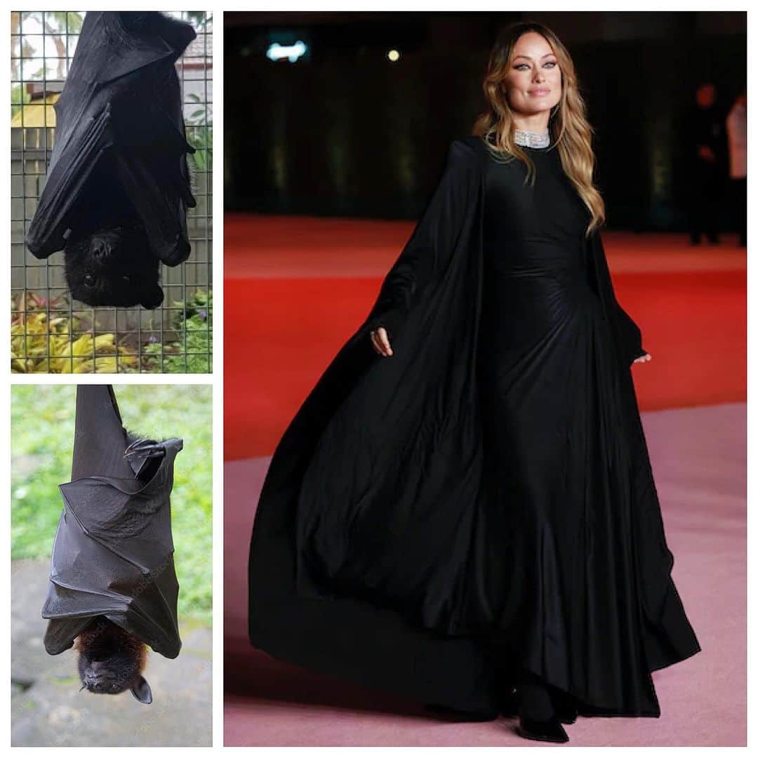 JO BAKERのインスタグラム：「O L I V I A • W I L D E 🇺🇸 Dark, Sensual… and a lil witchy goodness for #oliviawilde @theacademy gala Sunday night.  The gown detail was gathered and wrapped body hugging perfection… reminding me of the dark and mysterious lil cave dwellers ~  #bats !!  Style @karlawelchstylist  Hair @barbdoeshair  Makeup by me #jobakermakeupartist using a tea tone sheer sparkly lipgloss I think works really well as a modern nude for brunettes !!   (Swipe #014 sweet macadamia @diorbeauty)   If you’re lips are chapped and dry like mine right now ~ reach for a gloss to smooth, plump and add an instant shine !!   🦇  #makeup #makeupoftheday #makeuptutorial #makeupartist #makeupartistsworldwide #dark #witchy #bats #batman #mysterious #fashion #style #nature #naturephotography #naturelover #cavedweller」