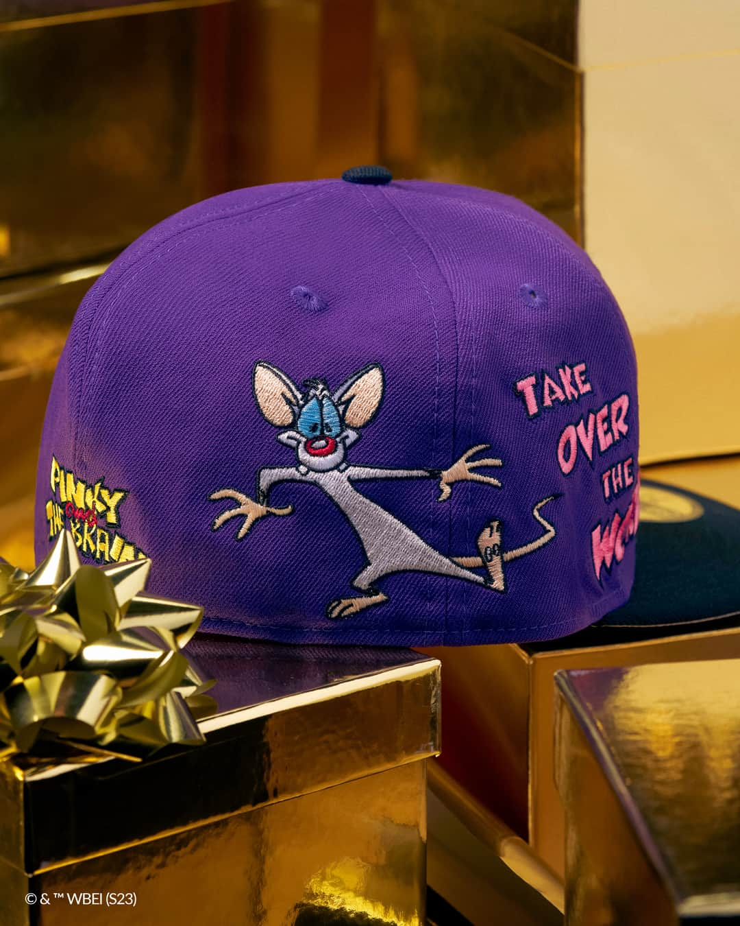 ニューエラ・キャップさんのインスタグラム写真 - (ニューエラ・キャップInstagram)「Hellooooo cap collectors! Celebrate the holidays with your favorite Animaniacs characters, available only at New Era Cap.  Receive a free Gold Ornament on orders of $100 or more.」12月6日 0時00分 - neweracap