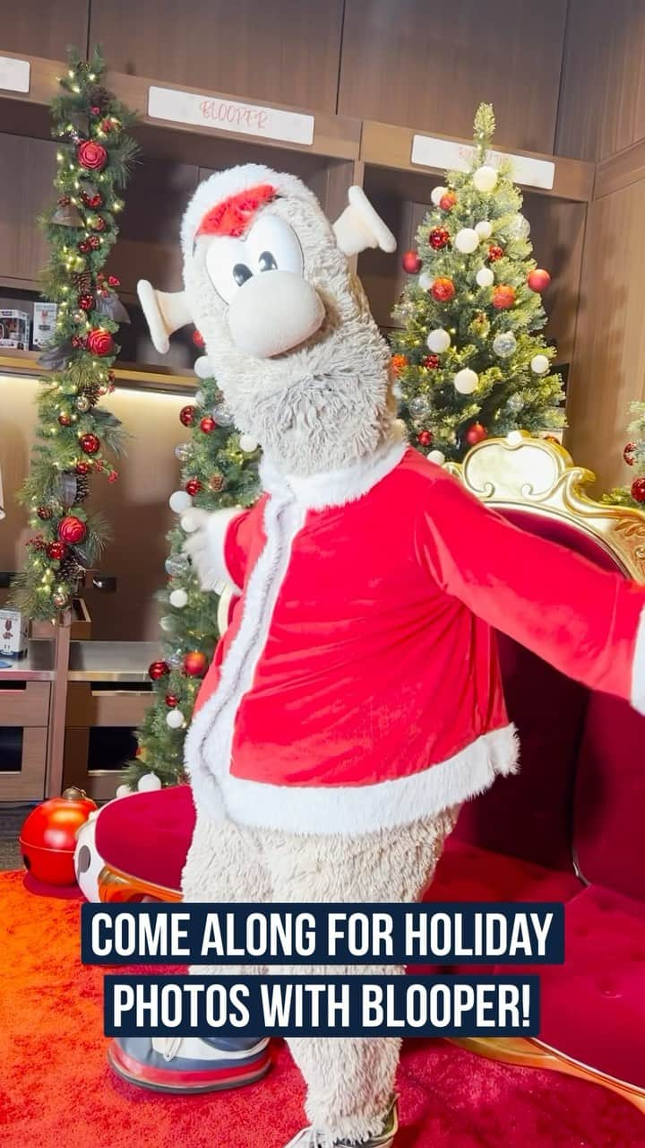 アトランタ・ブレーブスのインスタグラム：「Limited spots remain for Holiday Photos with Blooper!  Link in our story 🎁」