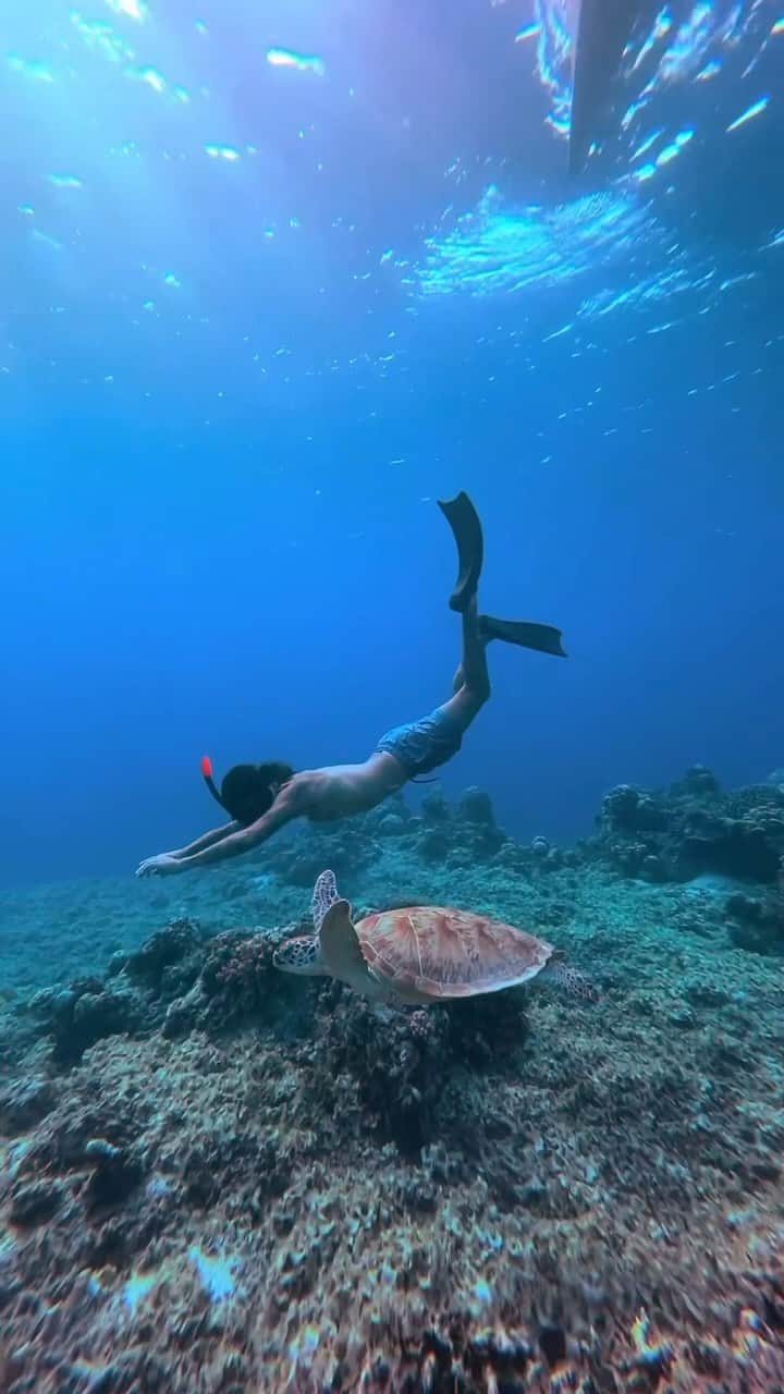 Live To Exploreのインスタグラム：「One of the best things to do in Bali is to go on a day trip to Gili Trawangan and go swimming with turtles 🐢  The best spot for spotting turtles is for sure the Gili Islands.   Join @pondoksantiestate amazing Princess Margaux for a comfortable day snorkelling.   #luxtravelcouple #baliactivities #gilitrawangan #welivetoexplore #gilit #travelawesome #exploremore」