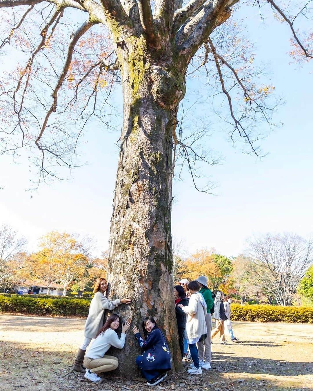 長谷川朋美さんのインスタグラム写真 - (長谷川朋美Instagram)「昭和記念公園の周辺をサロンメンバーとゴミ拾い＆紅葉狩り＆ウェルビーイングホテルツアー企画✨  私のオンラインサロン発エシカルユニット #エシカルビューティーズ の メンバーが主催してくれて  素晴らしい会となりました🥹 @yukiiito @jillmiyukame @natural._.harmony   ありがとう💕  ・ 紅葉の時期だからか道のゴミはたくさん💦  40分くらい歩きながらゴミ拾いは かなりいい運動になりなんと8500歩❣️  みんなで楽しくゴミ拾いの後は お待ちかねの紅葉真っ盛りの #昭和記念公園 をみんなで　 お散歩したり撮影したり😍  ・ その後は、立川駅近くにある#ソラノホテル へ♪ @soranohotel   昭和記念公園がパノラマで一望の インフィニティプールで有名なホテルですが コンセプトは#ウェルビーイング 🧘‍♀️  こちらのホテルのこだわりや サステナブルな素晴らしい取り組みの数々を ホテルツアーにて説明いただきました。  これはサービスを提供する側としても 大変勉強になるホスピタリティや クリエイティビティの勉強にもなりました✨  ホテルについては書ききれないので また別に綴ろうと思います😌  ワンコと宿泊も可能で 館内をリードで歩かせられる 日本には珍しいホテルなので、 次回はワンコ連れでこようと決意👍  ・ ホテルツアー後のランチも 感想やエシカルな話題が尽きず いつも素敵なメンバーに集まっていただき ありがたいなと常々思っています🥹  私のオンラインサロンは思いやりがあって 志が高い方が多いので、とても温かい場。  是非お気軽に足を踏み入れていただきたい✨  ・ サロンの中で私は、 自分と向き合う方法や 心と体のセルフケアを主に伝えていますが  メンバーが作るエネルギーも然りで 癒されたり、気付きを得たり、 人間的な成長ができる場だと思いますよ😌❤️  #エシカル #ethical #サステナブル #sustainable #soranohotel #立川」12月6日 13時51分 - hasegawa.elena.tomomi