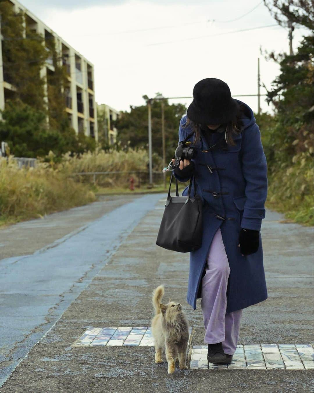 小林希さんのインスタグラム写真 - (小林希Instagram)「ネコとあるく池島🐈 人懐っこい子でした🫶  #池島 #ネコ #島ネコ」12月6日 14時09分 - nozokoneko