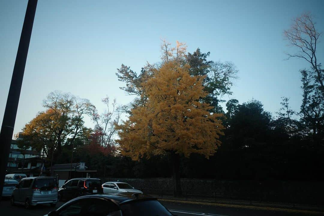 藤田敦子さんのインスタグラム写真 - (藤田敦子Instagram)「ㅤ  I could see autumn leaves in Kyoto🍁  たまたま帰った京都は バッチリ紅葉シーズン。 そりゃ人も多いよね。 道を歩いていると飛び交う言葉は 日本語じゃないことがほとんど。  今回の旅は、お友達が予約してくれた店に入ると 昔遊んでたお友達がやってるお店だったり、 一緒にご飯した友達が最近仲良いのが 昔ほんのちょこっとお付き合いした人だったもんで(笑) そのあとその人のお店にハシゴしたり。 (両方ナチュールが美味しいお店です)  Ambient Kyotoでのバッタリもあったりで 本当にとにかくキーワードは再会✨でした。」12月6日 6時00分 - blenda0305