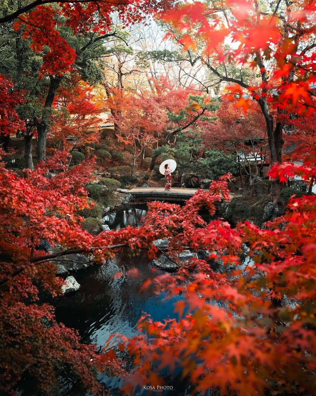 コサさんのインスタグラム写真 - (コサInstagram)「和歌山城の中にある紅葉渓庭園が見頃を迎えてました👍 . Location:和歌山 Wakayama /Japan🇯🇵 Date:2023年12月 Camera:Z9 / Z 24-70mm f2.8 in frame: @chami_2nd . #紅葉渓庭園 #みんすと紅葉祭 #Japan_Daytime_View #japancityblues #jp_portrait_collection #ポトレファン倶楽部 #ポトレ撮影隊 #jp_mood #jp_portrait部 #m_v_shotz #visitwakayama #mf_landscape #invisible_cool_part #じゃびふる #raw_japan #deaf_b_j_ #japan_best_pic #japan_bestpic_ #japan_waphoto #pixlib_jp #tokyocameraclub #art_of_japan_ #jgrv_member #team_jp_ #photo_jpn #sorakataphoto #LBJ_KING #mst_vip #広がり同盟メンバー #special_spot_legend」12月6日 7時22分 - kosa_photo