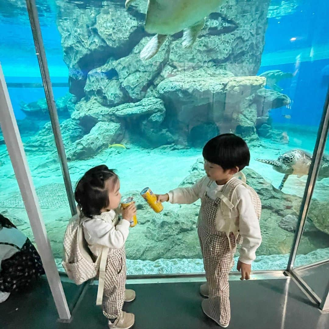 NikawaAsuka さんのインスタグラム写真 - (NikawaAsuka Instagram)「名古屋港水族館👩👦👶  人いっぱいだったけど楽しかったね🤍  #名古屋港 #水族館 #名古屋港水族館 #兄弟 #男の子 #男の子ママ」12月6日 9時13分 - 19890808a