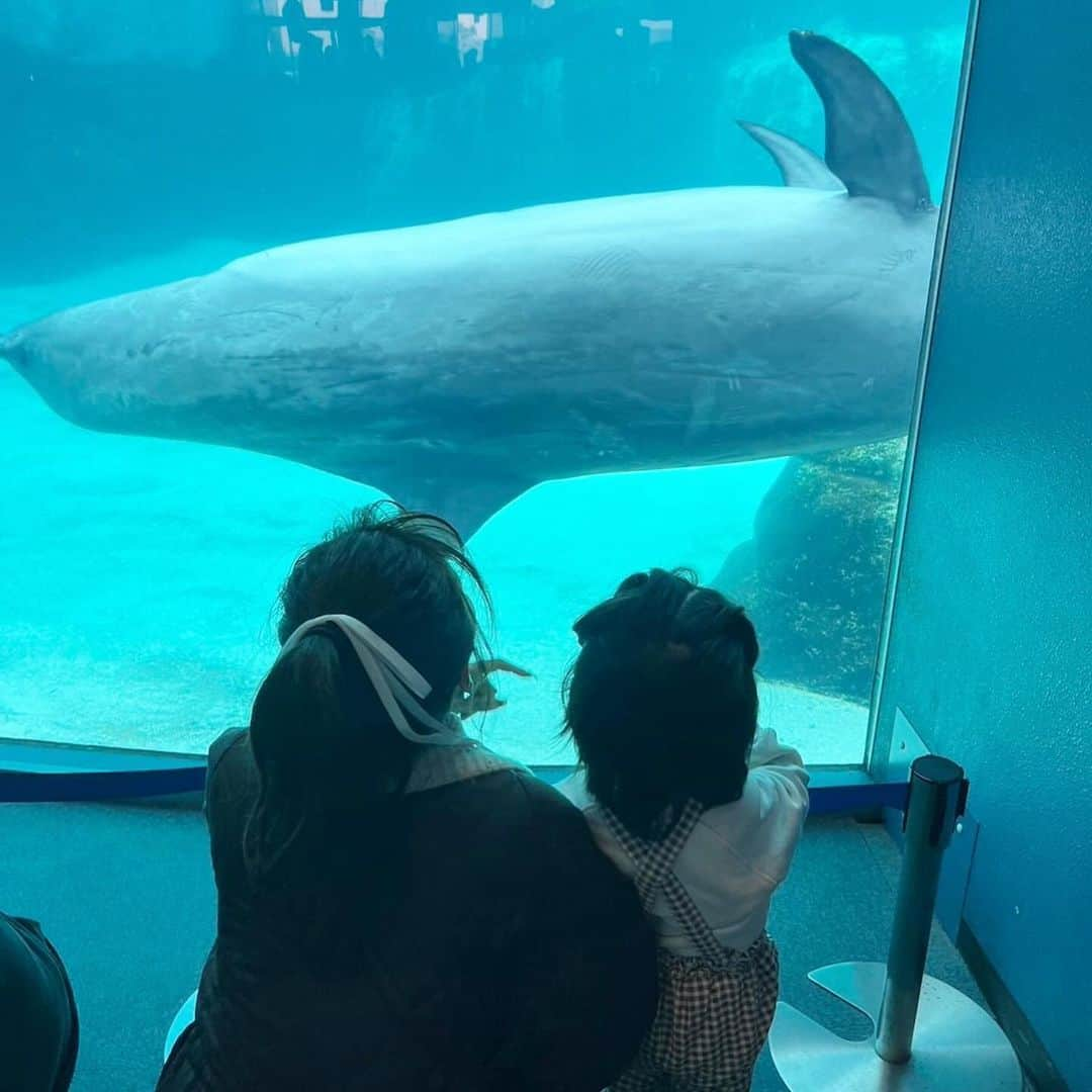 NikawaAsuka さんのインスタグラム写真 - (NikawaAsuka Instagram)「名古屋港水族館👩👦👶  人いっぱいだったけど楽しかったね🤍  #名古屋港 #水族館 #名古屋港水族館 #兄弟 #男の子 #男の子ママ」12月6日 9時13分 - 19890808a