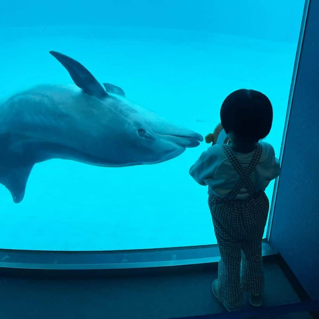 NikawaAsuka さんのインスタグラム写真 - (NikawaAsuka Instagram)「名古屋港水族館👩👦👶  人いっぱいだったけど楽しかったね🤍  #名古屋港 #水族館 #名古屋港水族館 #兄弟 #男の子 #男の子ママ」12月6日 9時13分 - 19890808a