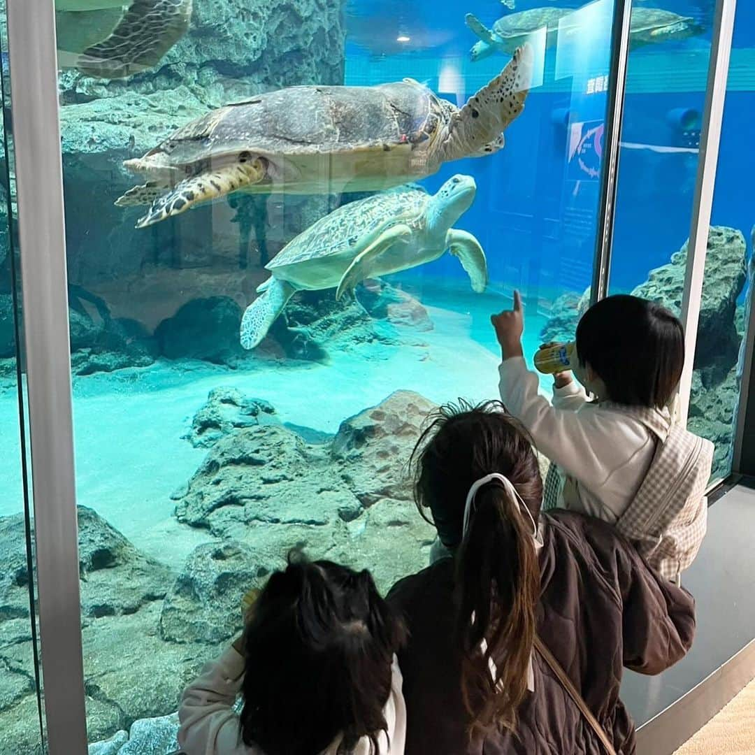 NikawaAsuka さんのインスタグラム写真 - (NikawaAsuka Instagram)「名古屋港水族館👩👦👶  人いっぱいだったけど楽しかったね🤍  #名古屋港 #水族館 #名古屋港水族館 #兄弟 #男の子 #男の子ママ」12月6日 9時13分 - 19890808a