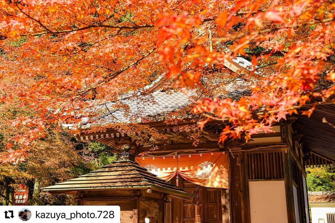 西条市さんのインスタグラム写真 - (西条市Instagram)「みなさん、紅葉狩りには行きましたか？🍂  #Repost @kazuya_photo.728 with @use.repost ・・・ 2023.11.22 愛媛県西条市 西山興隆寺  日本の四季を感じた😌  #西山興隆寺 #もみじ #紅葉 #紅葉狩り #秋  #四国別格二十霊場  #お寺  #お寺巡り #nipponpic #japan_bestpic_  #japan_of_insta  #shikokucameraclub  #tokyocameraclub  #shikoku_trip #love_bestjapan #setouchi_gram #lovesaijo #愛媛県 #西条市 #愛媛観光 #愛媛写真部 #愛媛紅葉フォトコン2023 #海賊フォト #おかえりに出会う旅愛媛県  #愛媛の景観コンテスト  #shikokucameraclubフォトコン2023  #Nikon #NikonD750 #一眼レフ」12月6日 9時58分 - lovesaijo