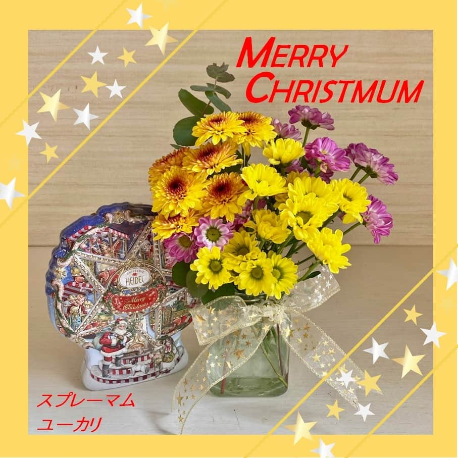 きいちゃんさんのインスタグラム写真 - (きいちゃんInstagram)「. 🌟クリスマスの花を飾ろう💖メリークリスマム2023🎄✨  １２月はクリスマスシーズン🌟ホリデームードを彩るのにピッタリな和歌山の花をご紹介します💕 ピンクのスターチスとガーベラでワントーンに統一💗同系色でまとめると簡単にゴージャスに✨ スプレーマムにユーカリを添えて『メリークリスマム』🎅🔔バリエーション豊富なスプレーマムは日持ちもGOODです😊  和歌山県は色々な花を生産する全国的な花産地🌹 県内のスプレーマム生産者で組織する和歌山県スプレーマム研究会はクリスマスにスプレーマムを飾る「メリークリスマム」をPRしています🎄✨ 和歌山の花で“花のある暮らし”を楽しみましょう💐  🌟和歌山県の花きに関する情報はこちらから https://www.pref.wakayama.lg.jp/prefg/070300/d00207425.html  #スターチス #ガーベラ #メリークリスマム #和歌山の花 #花のある暮らし」12月6日 11時00分 - wakayamapref_pr