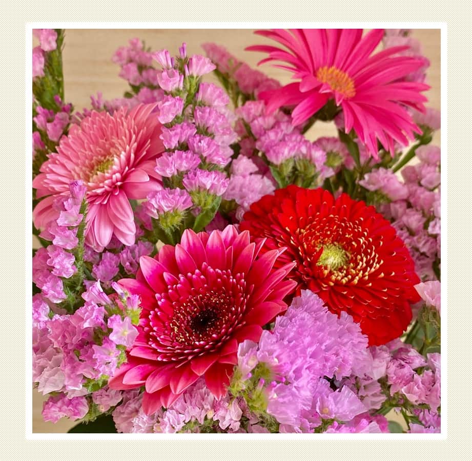 きいちゃんさんのインスタグラム写真 - (きいちゃんInstagram)「. 🌟クリスマスの花を飾ろう💖メリークリスマム2023🎄✨  １２月はクリスマスシーズン🌟ホリデームードを彩るのにピッタリな和歌山の花をご紹介します💕 ピンクのスターチスとガーベラでワントーンに統一💗同系色でまとめると簡単にゴージャスに✨ スプレーマムにユーカリを添えて『メリークリスマム』🎅🔔バリエーション豊富なスプレーマムは日持ちもGOODです😊  和歌山県は色々な花を生産する全国的な花産地🌹 県内のスプレーマム生産者で組織する和歌山県スプレーマム研究会はクリスマスにスプレーマムを飾る「メリークリスマム」をPRしています🎄✨ 和歌山の花で“花のある暮らし”を楽しみましょう💐  🌟和歌山県の花きに関する情報はこちらから https://www.pref.wakayama.lg.jp/prefg/070300/d00207425.html  #スターチス #ガーベラ #メリークリスマム #和歌山の花 #花のある暮らし」12月6日 11時00分 - wakayamapref_pr