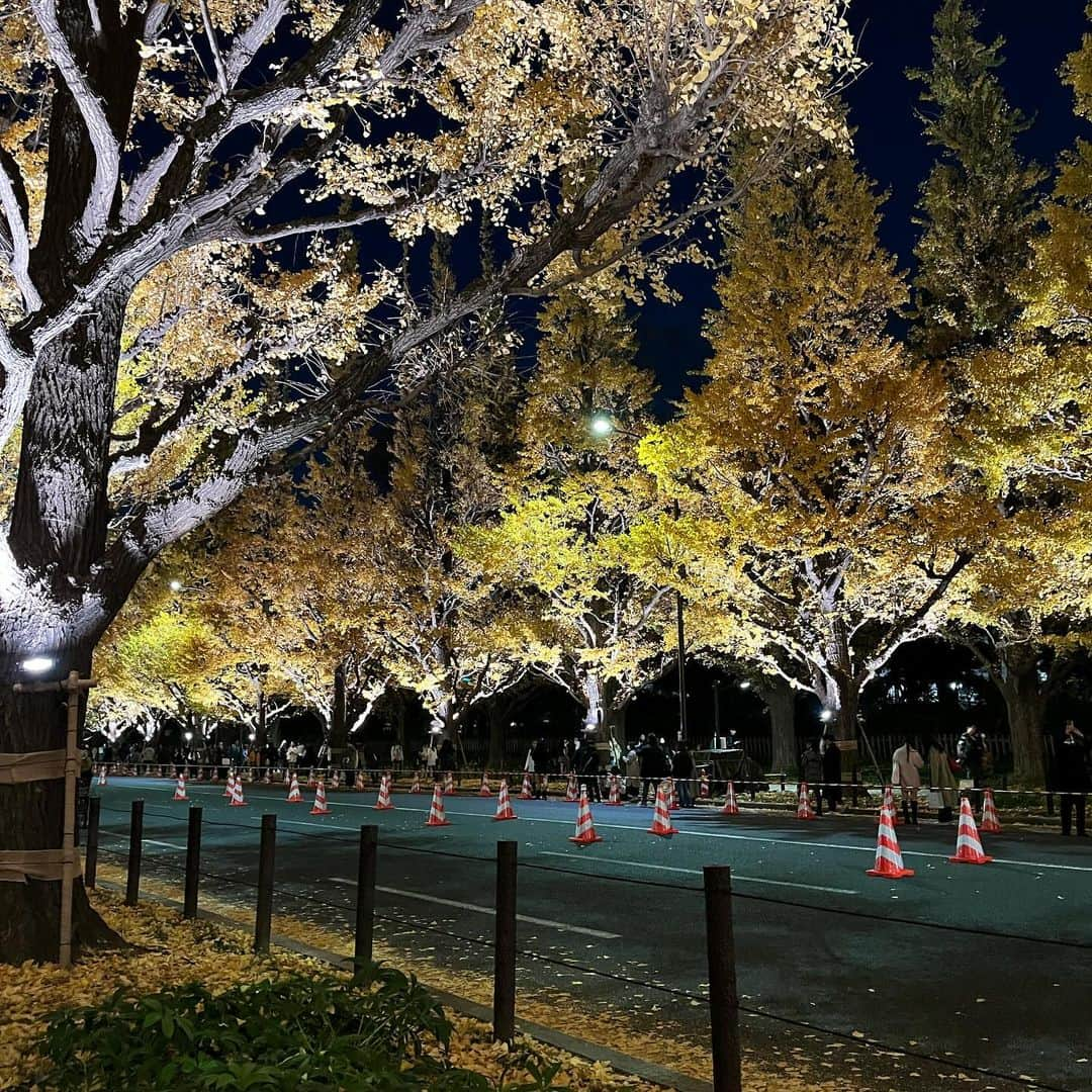 吉村恵里子さんのインスタグラム写真 - (吉村恵里子Instagram)「・ 毎日寒いですね🍂  冬は、綺麗な落ち葉を探したり 蕎麦はあたたかいものを注文したり 寒いながらも季節の楽しみ方は様々ですが、 私の一番は実家のこたつで愛犬とくっついて寝ることだったなぁと実家を出て2度目の冬を迎えて思い出しました。🐩  12月、あたたかくして過ごしましょうね。🍲」12月6日 12時36分 - yoshimura_eriko