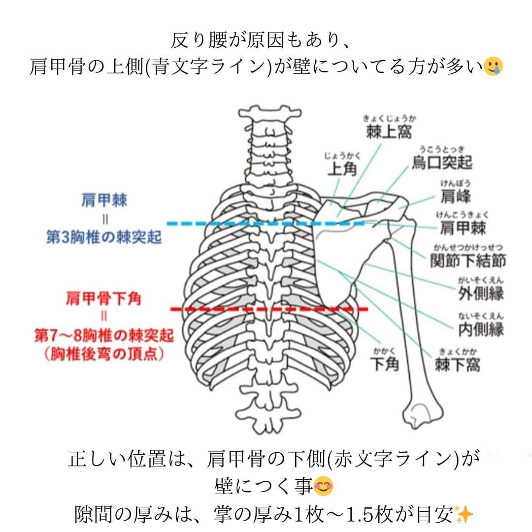 Ai Hagaさんのインスタグラム写真 - (Ai HagaInstagram)「正しい姿勢の一部をご紹介😊  壁に、お尻と肩甲骨の下側辺りがついていたら、 貴方の背骨の湾曲ぐあいは、正常位。 (スライド2枚目)  反り具合は、肉付き具合によって変わってくるけど、 普通の体型の方で掌の厚みが、1枚〜1.5枚が正しいとされるよ😊  気にしてみてね^ ^  cat-cowのポーズは自律神経を整える点に効果的✨ 背骨へのアプローチにも◎  #ダイエット食 #ダイエット仲間募集 #ダイエット日記 #食生活改善 #食生活見直し #食生活の改善 #むくみ解消 #むくみ改善 #むくみケア #ダイエットモチベーション #ダイエット生活 #ボディメイク女子 #ボディーメイク #ボディメイクレシピ #姿勢改善ストレッチ #姿勢改善トレーニング #料理記録 #料理レシピ #料理好きな人と繋がりたい #ダイエット料理 #骨盤調整 #骨盤矯正ストレッチ」12月6日 12時46分 - wruber722