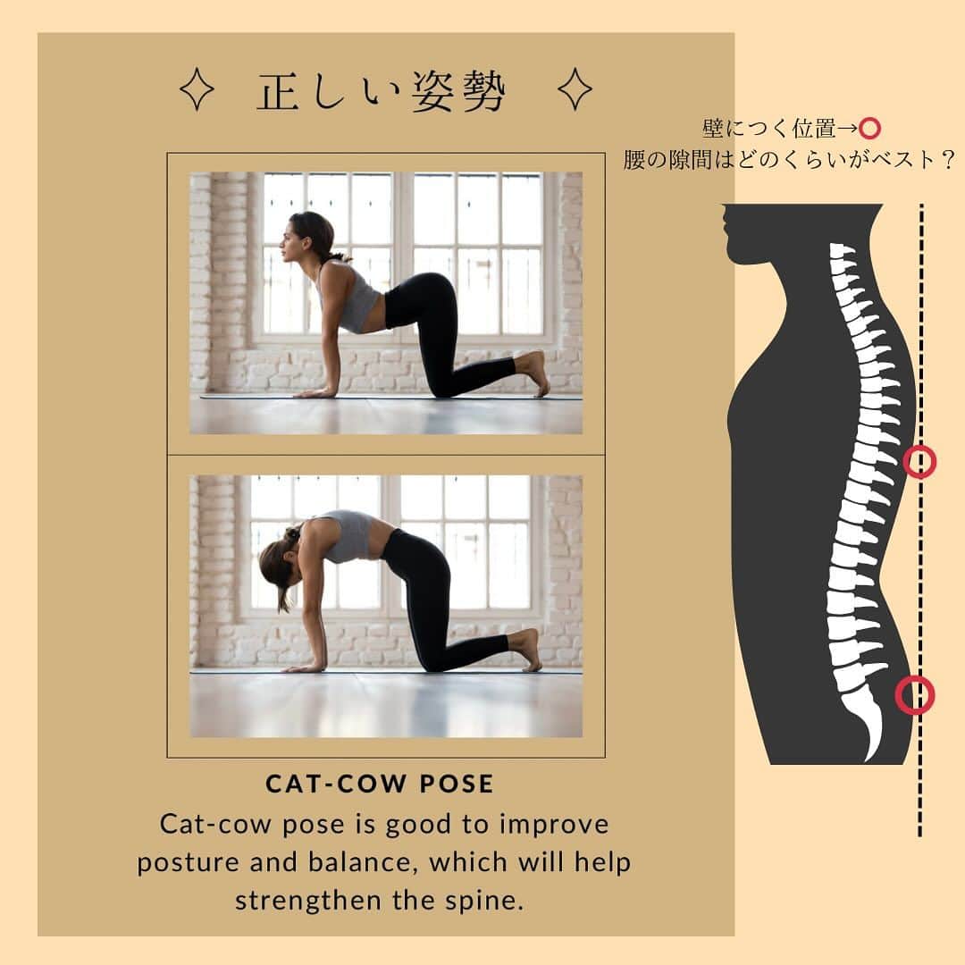 Ai Hagaのインスタグラム：「正しい姿勢の一部をご紹介😊  壁に、お尻と肩甲骨の下側辺りがついていたら、 貴方の背骨の湾曲ぐあいは、正常位。 (スライド2枚目)  反り具合は、肉付き具合によって変わってくるけど、 普通の体型の方で掌の厚みが、1枚〜1.5枚が正しいとされるよ😊  気にしてみてね^ ^  cat-cowのポーズは自律神経を整える点に効果的✨ 背骨へのアプローチにも◎  #ダイエット食 #ダイエット仲間募集 #ダイエット日記 #食生活改善 #食生活見直し #食生活の改善 #むくみ解消 #むくみ改善 #むくみケア #ダイエットモチベーション #ダイエット生活 #ボディメイク女子 #ボディーメイク #ボディメイクレシピ #姿勢改善ストレッチ #姿勢改善トレーニング #料理記録 #料理レシピ #料理好きな人と繋がりたい #ダイエット料理 #骨盤調整 #骨盤矯正ストレッチ」