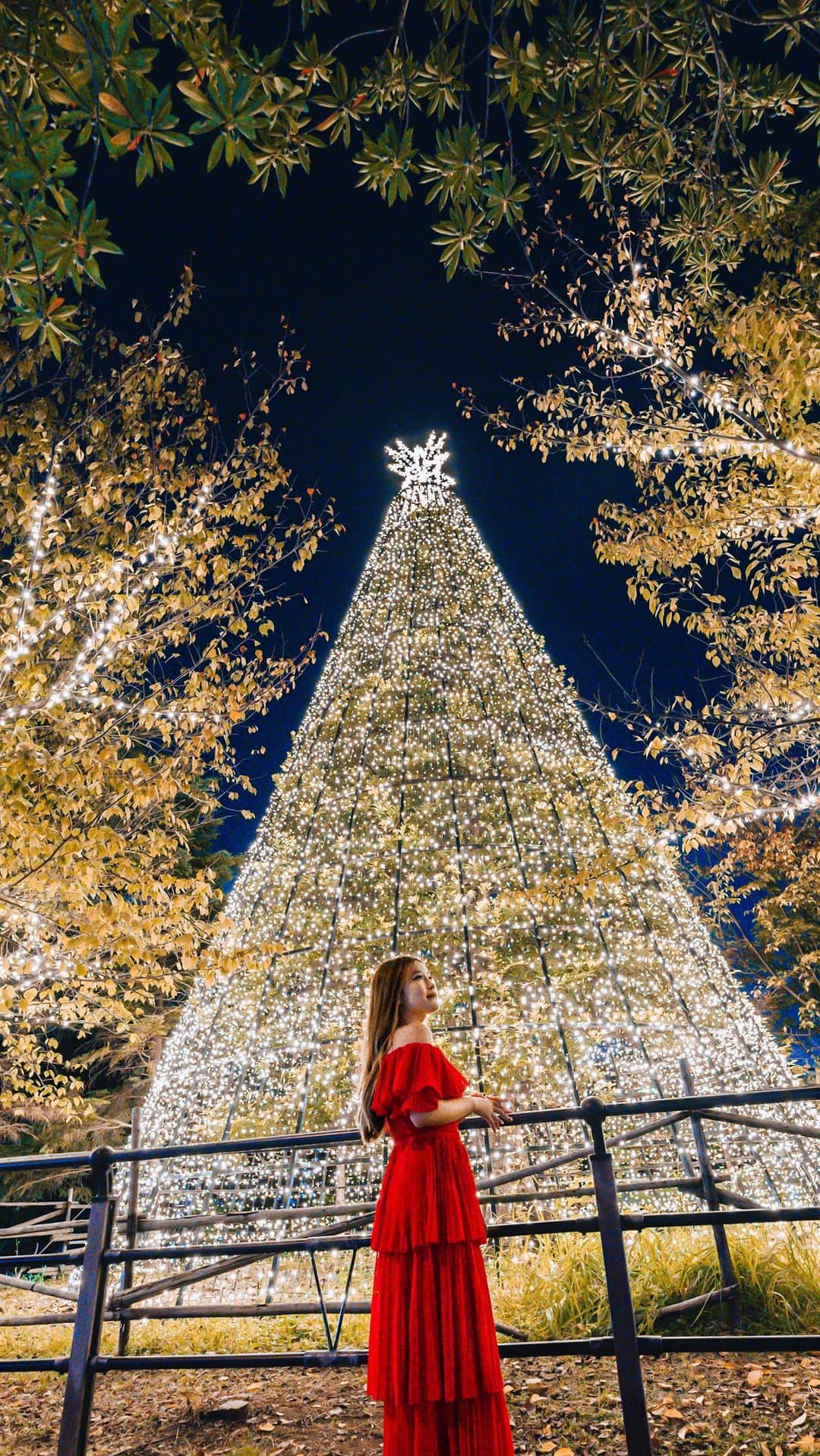 Stella Leeのインスタグラム：「Christmas is coming to Tokyo and luckily it is the city that turns magical after the sun has set. Here are some of my recommendation to visit when you’re in Tokyo this winter  Follow for more traveling tips and recommendations 🇯🇵」