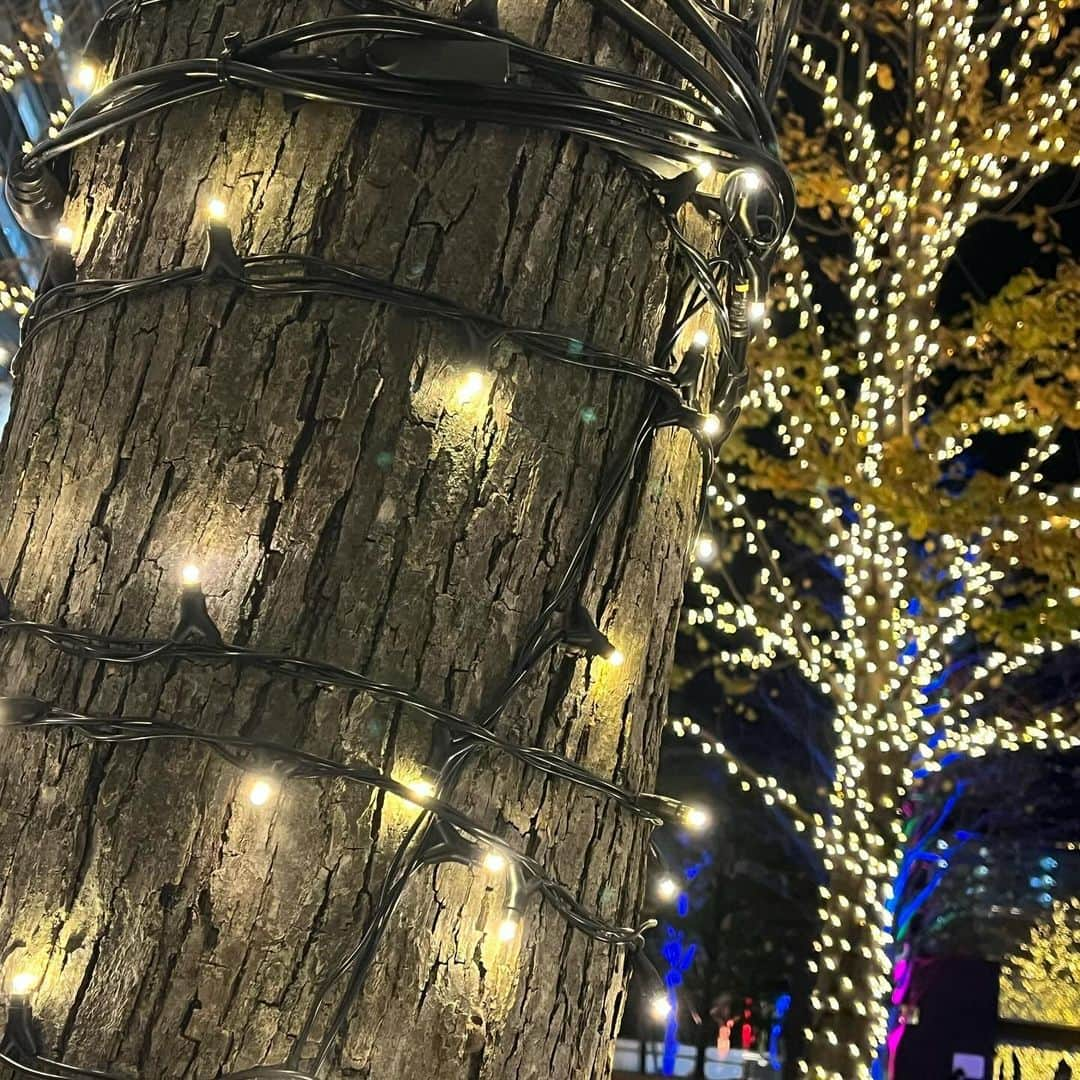 音井結衣さんのインスタグラム写真 - (音井結衣Instagram)「🎄Christmas is coming to town♪🎄 ・*:..｡o♬*ﾟ・*:..｡o♬*ﾟ・*:..｡o♬ #asobisystem #イルミネーション  #冬コーデ #マフラー  #アイドル  #idol  #アイドル前髪 #cosplay #ボブ #cosplaygirl  #japanesegirl  #animegirl  #instagood  #likestagram  #uwu  #量産型ヲタク  #ヲタク  #アイドルヲタク #kawaiigirl  #kawaiifashion  #随手拍 #instadaily  #ootd #tiktok #每日穿搭 #tiktokers #tiktokjapan  #jk  #自撮り  #selfie」12月6日 22時20分 - otoi_yui_19