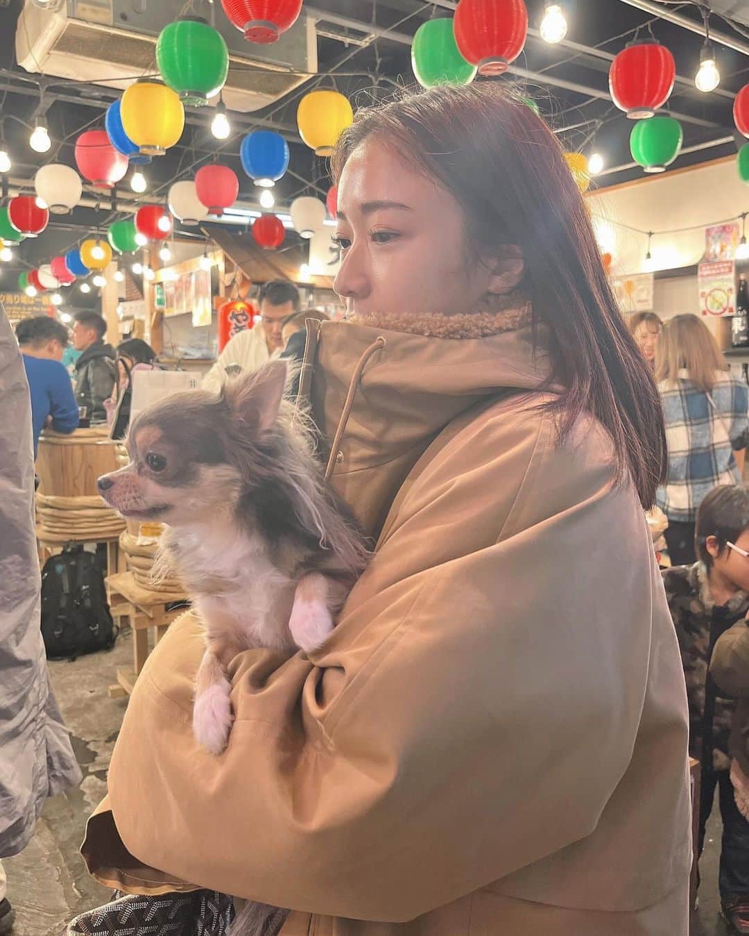 田原可南子さんのインスタグラム写真 - (田原可南子Instagram)「あっという間に過ぎた秋🍂  よく働きよく遊び 見つけたり感じたり 沢山考えてみたりやめてみたり クタクタになりながらも 一生懸命の瞬間を積み重ねるしかないと 日々生きていたら 秋も過ぎ冬になっていました🌬️  最近は、読書 自転車 サウナ… 美術館にもいいペースで行けていて うれしいな  あと、 UFOキャッチャーと ボートレース(笑)  仕事きっかけに勉強を始めたボートレース プライベートでなんと 25倍の当たりが出ました！ うれしいなぁ」12月6日 22時41分 - kanakotahara