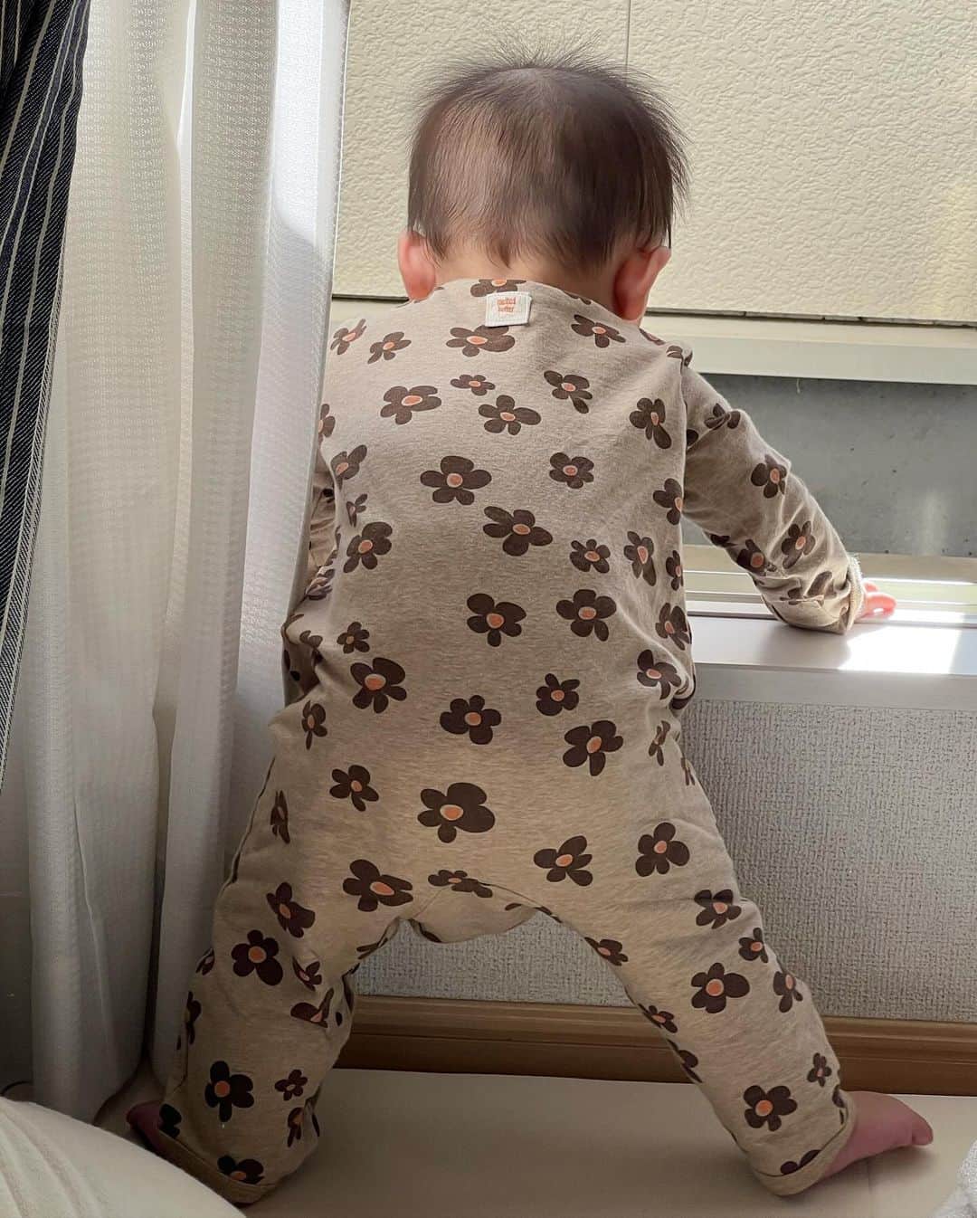 マイコ さんのインスタグラム写真 - (マイコ Instagram)「* 気づいたらちょこんと座ってて、 後ろ姿が可愛くて見てたら つかまり立ちした😳👏🤣❣️  ずり這い→つかまり立ちで ハイハイなし🤣 ちなみに私もハイハイしないで立ったらしい。 おんなじだ🤭  危ない場所が増えるからどんどん対策しないと⚠️ ・ ・ ・ ・ #赤ちゃんのいる生活#生後7ヶ月#女の子ベビー」12月6日 23時25分 - maicorori