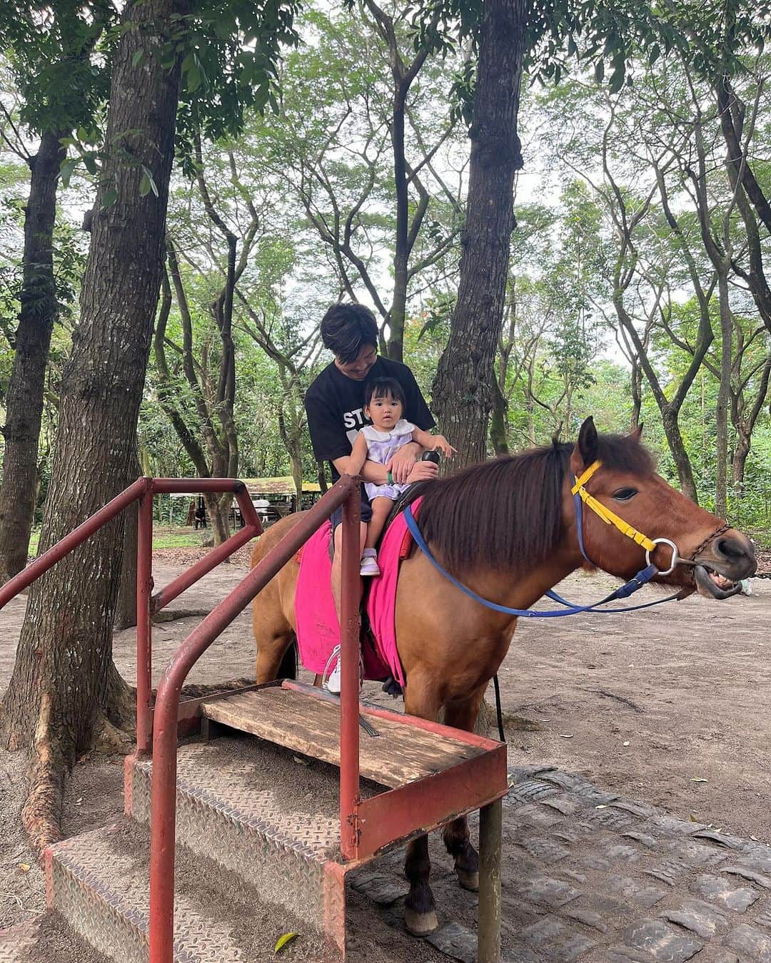 HISANAさんのインスタグラム写真 - (HISANAInstagram)「先週末は @thefunfarmatstaelena へ🐴🦆💕  すずちゃんの大好きなかめさんもいるし🐢 お馬さんや牛さんにも乗れました🐃✨  マニラから渋滞ないと車で30分ぐらいだったので、フィリピンに来たらぜひ〜😆🇵🇭 すずちゃんは無料で、大人ひとり₱400 お馬さんに乗ったりも入場料に含まれてて無料なんだけど、チップあげたら喜んでくれます👨🏽‍🦰  ランチに寄った日本食屋さんも美味しかった😋  #2歳#2歳女の子#フィリピン#マニラ#マニライフ#海外移住#manilaphilippines」12月6日 16時01分 - hisana22