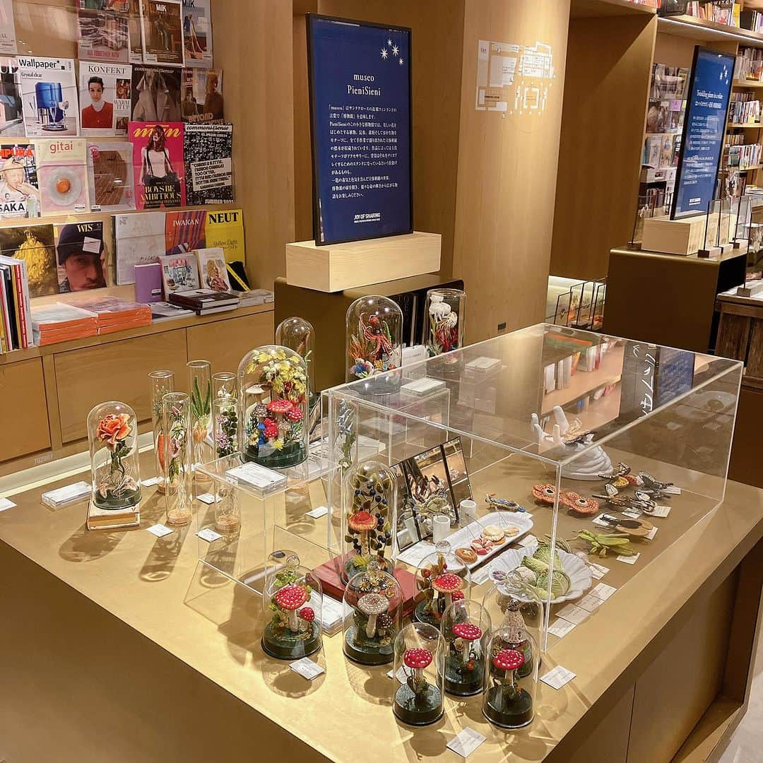 銀座 蔦屋書店さんのインスタグラム写真 - (銀座 蔦屋書店Instagram)「【XMAS 2023】museo  「museo」はサンタクロースの故郷フィンランドの言葉で博物館を意味します。  PieniSieniのこの小さな博物館では、美しい花をはじめとする植物、昆虫、菌類そして水中生物をモチーフに、全て手作業で創り出された立体刺繍の標本が収蔵されています。  作品によっては主役モチーフがアクセサリーに、背景はそれをディスプレイするためのスタンドになっているという仕掛けがあるものも。 一匙の毒気と色気を含んだ立体刺繍の世界。  博物館の扉を開き、様々な命の輝きから広がる物語をお楽しみください。  [アーティストプロフィール] PieniSieni・ピエニシエニ 日本フェルタート協会代表理事。 刺繍枠を使わないオフフープ立体刺繍を考案。 2014年ＡＪＣクリエイターズコンテストで文部科学大臣賞を受賞。 立体刺繍の花と蝶々（誠文堂新光社）、立体刺繡で作る１２カ月の花のアクセサリー（KADOKAWA）など著書多数。  [販売について] 11月28日(火)より販売いたします。 ※オンライン販売は詳細が決定次第、本ページにてお知らせいたします。 会期 2023年11月28日(火) - 2023年12月25日(月)※終了日は変更になる場合があります。 時間 当店Webサイトをご確認ください。 場所 BOOK売場(トラベルライフ) 主催 銀座 蔦屋書店 問い合わせ先 03-3575-7755  ▶詳細はこちら https://store.tsite.jp/ginza/event/travel/36495-1242441013.html ▶銀座 蔦屋書店 Yahoo!ショッピング店  ▶蔦屋書店オンラインストア  @pienikorvasieni @ginza_tsutayabooks_travel #museo #PieniSieni #立体刺繍 #ピエニシエニ #クリスマスギフト #クリスマスプレゼント #christmasmood #christmasgifts #holidayseason #gsix #ginzasix #銀座 #蔦屋書店 #ginza #銀座蔦屋書店 #ginzatsutayabooks #tsutayabooks」12月6日 20時00分 - ginza_tsutayabooks