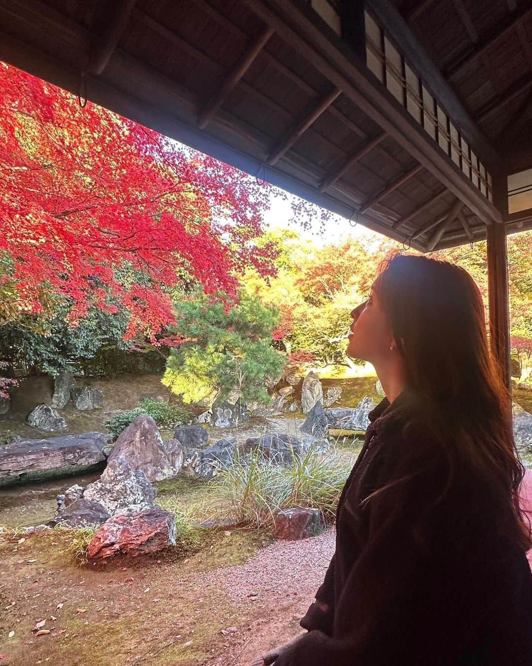 角谷暁子さんのインスタグラム写真 - (角谷暁子Instagram)「少し前に紅葉の盛りの京都を訪ねました🍁 陰翳礼讃という言葉の意味を考えながら、自然の美しさに浸ってきました☺️🍂」12月6日 16時22分 - kadoya_akiko