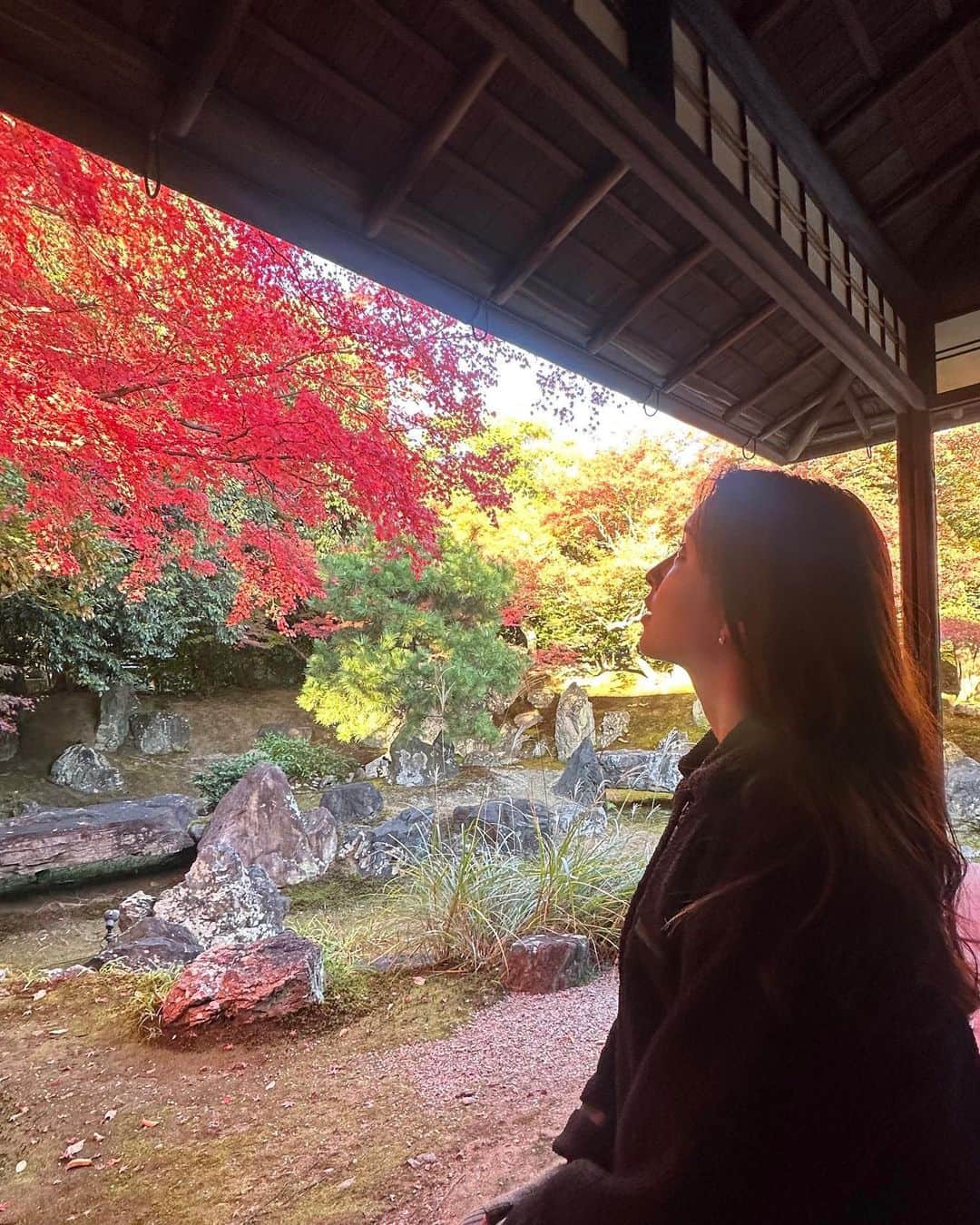 角谷暁子のインスタグラム：「少し前に紅葉の盛りの京都を訪ねました🍁 陰翳礼讃という言葉の意味を考えながら、自然の美しさに浸ってきました☺️🍂」