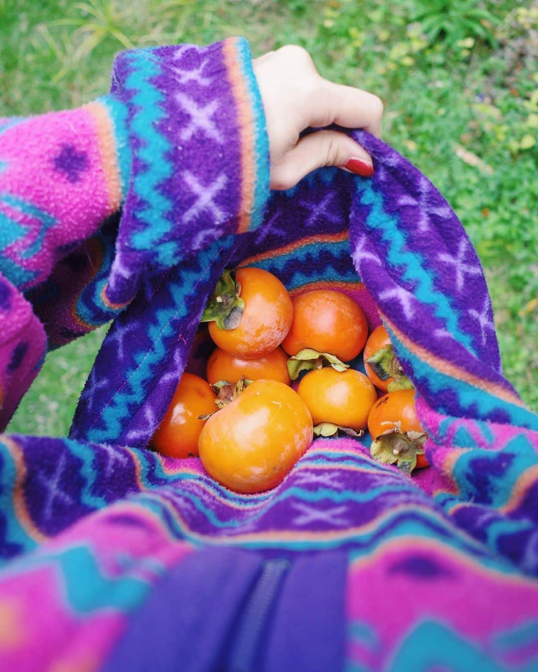 Ami のインスタグラム：「今年庭で採れた果実の中でも、柿はほんとに美味しかったなぁー。 来年はしっかり手を加えて、もっと立派な柿に育てたい✊」