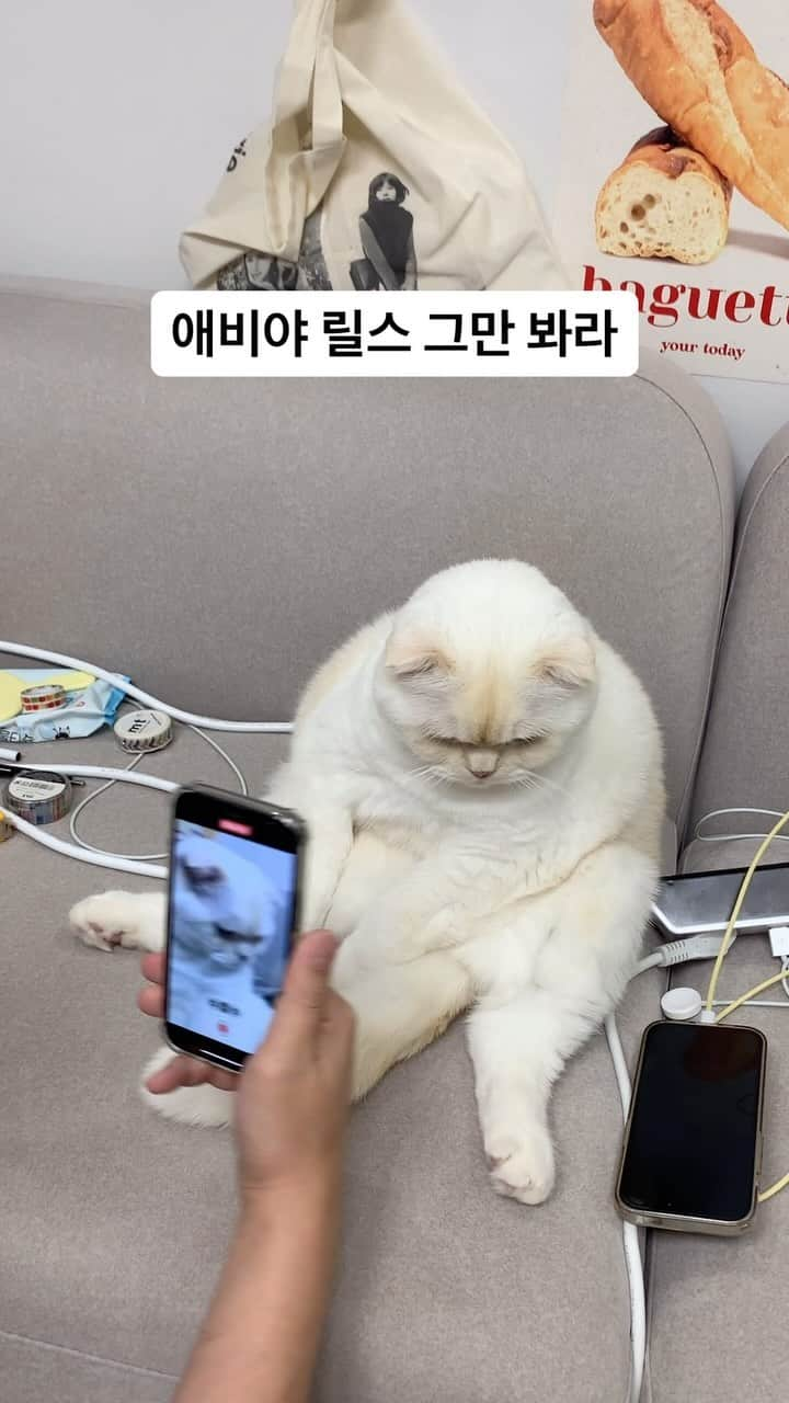 SoonMooのインスタグラム：「릴스 과몰입 아빠 좀 누가 말려봐요😒 (순무달력 포장하다 쉬는시간에 찍어서 어지러진 집은 눈감아주세요😉ㅋㅋ)  #순무 #SoonMoo」